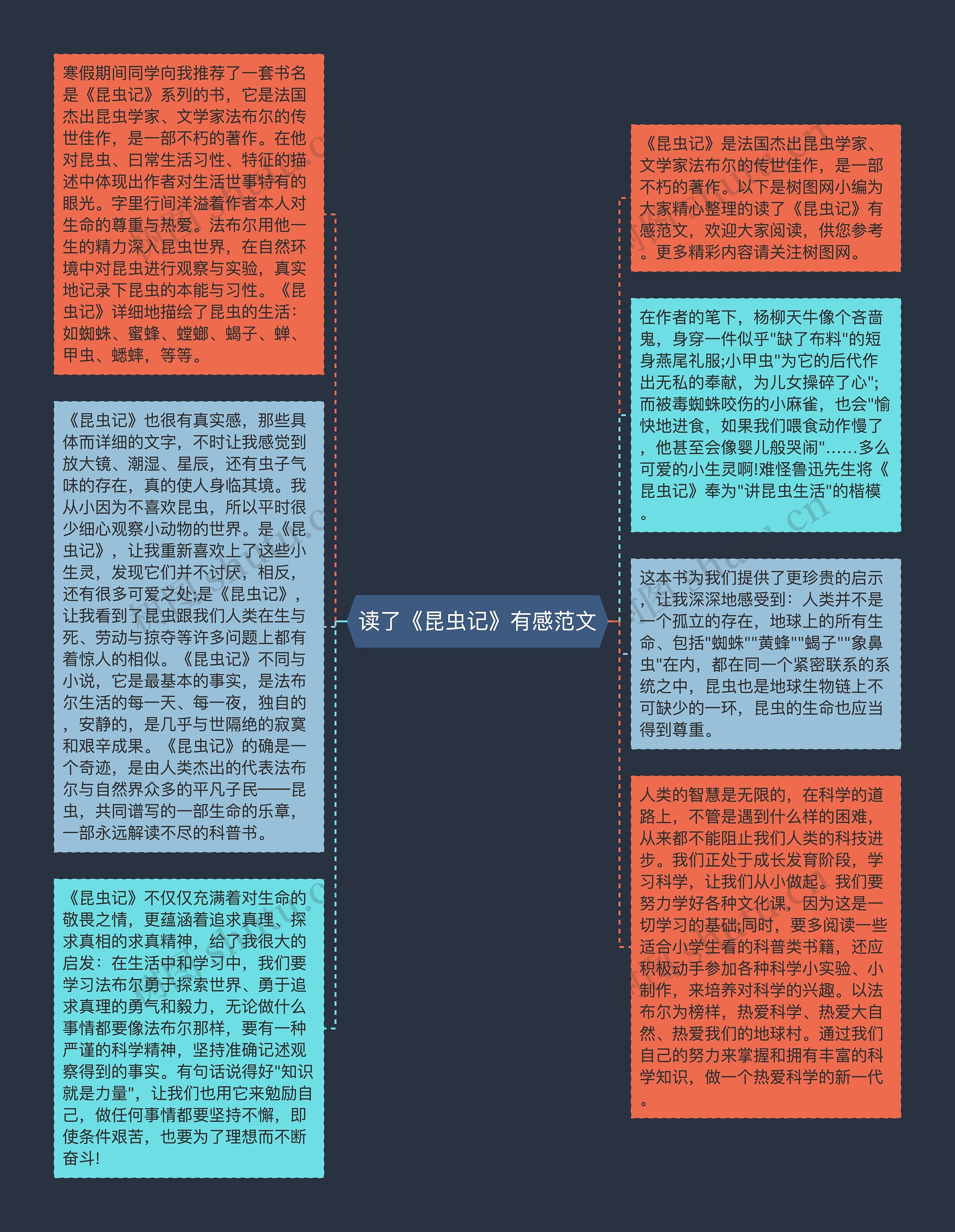 读了《昆虫记》有感范文