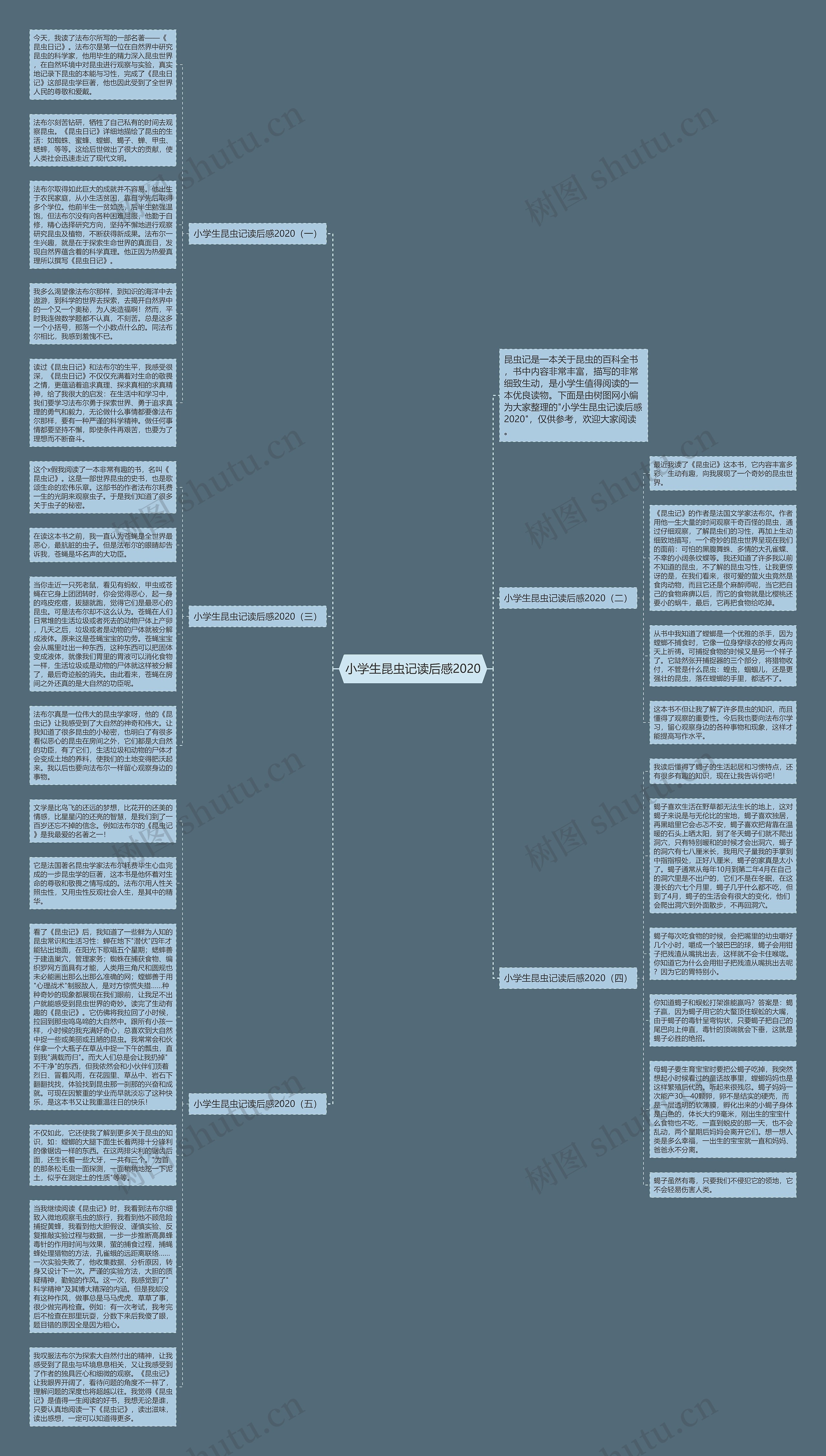 小学生昆虫记读后感2020思维导图