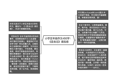 小学五年级作文450字：《昆虫记》读后感