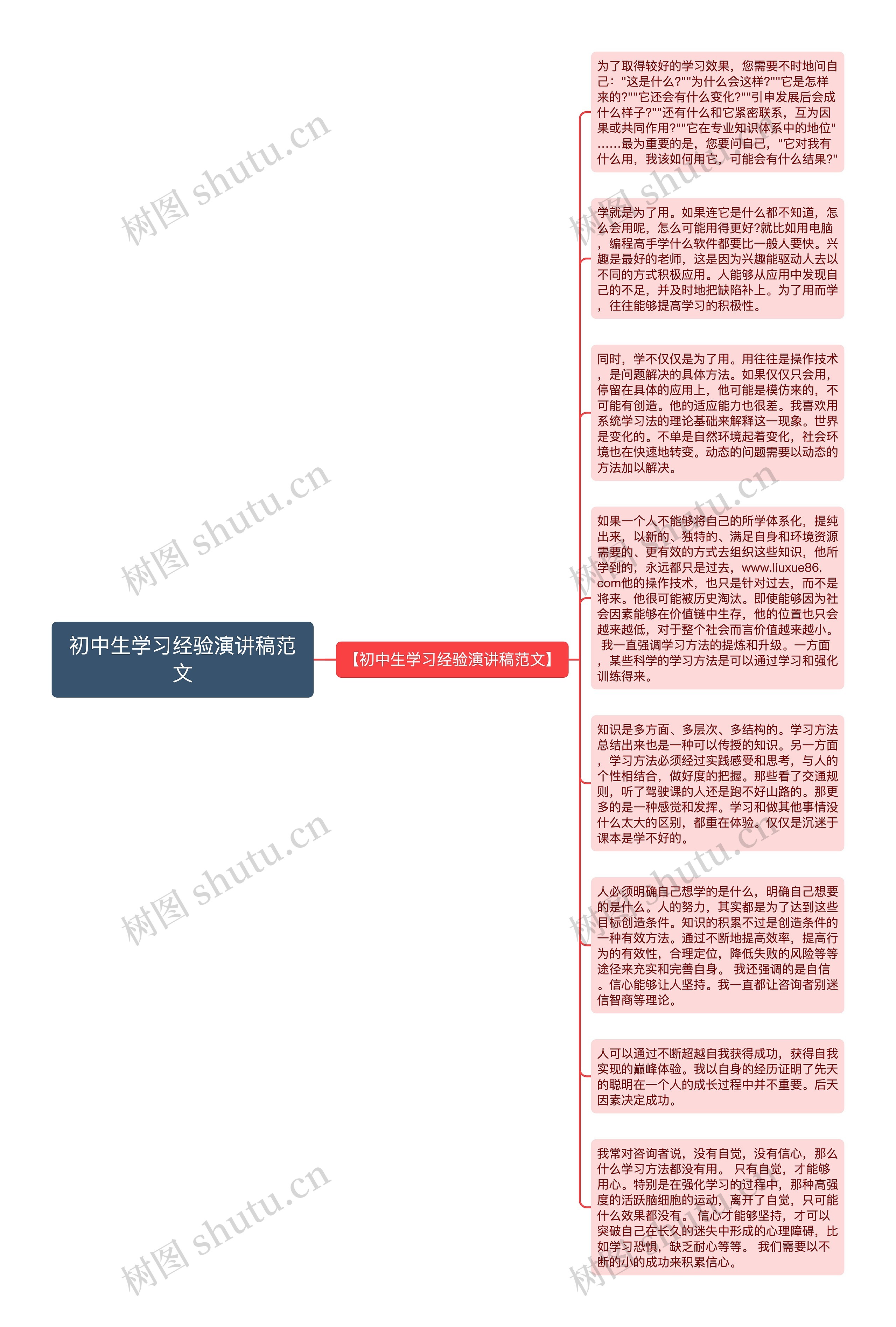 初中生学习经验演讲稿范文