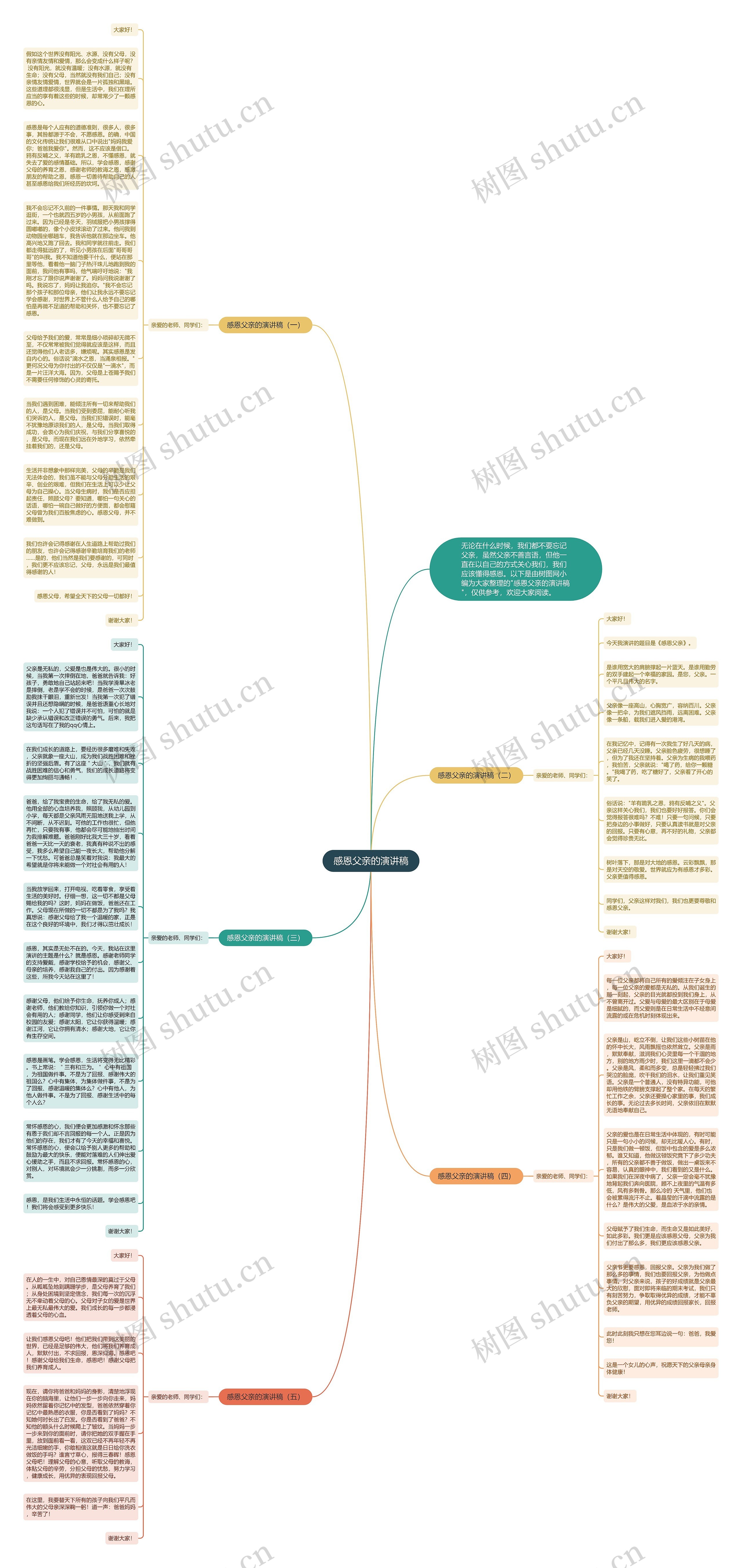 感恩父亲的演讲稿思维导图