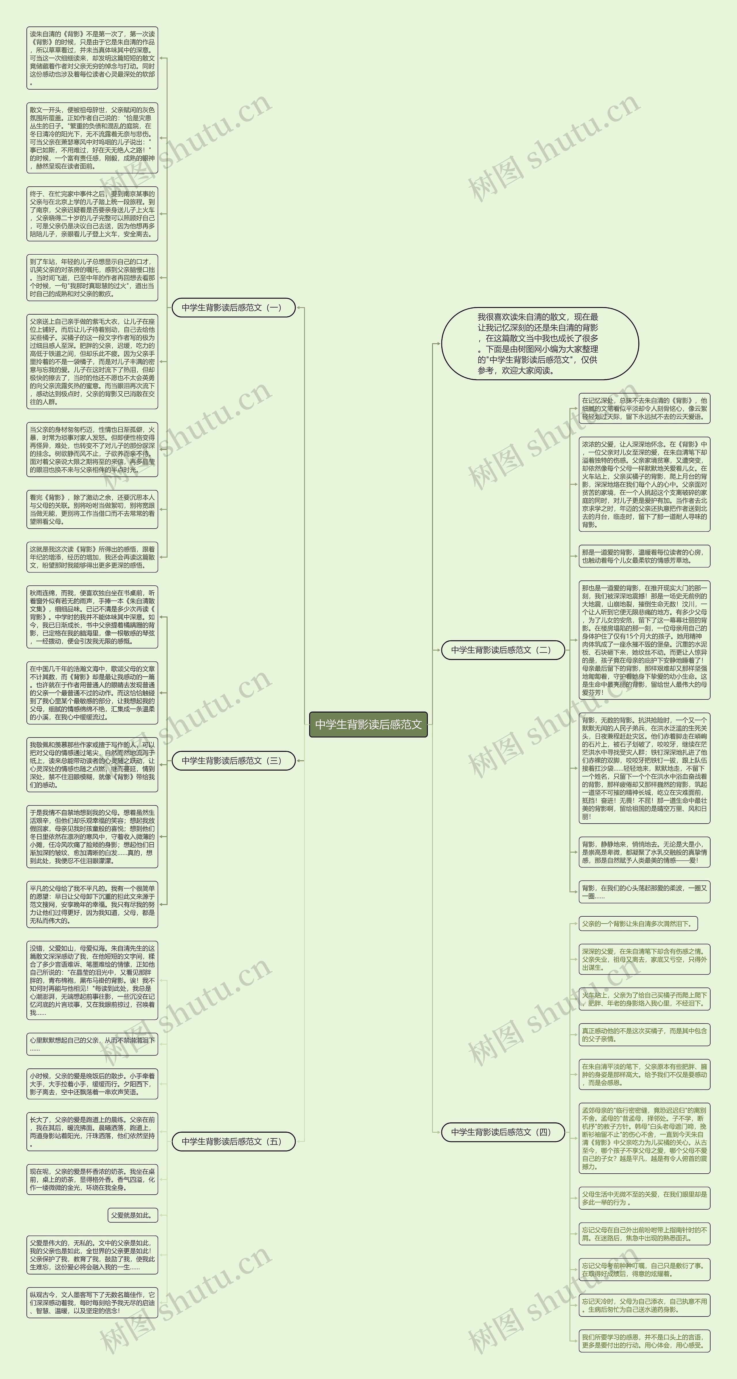 中学生背影读后感范文思维导图