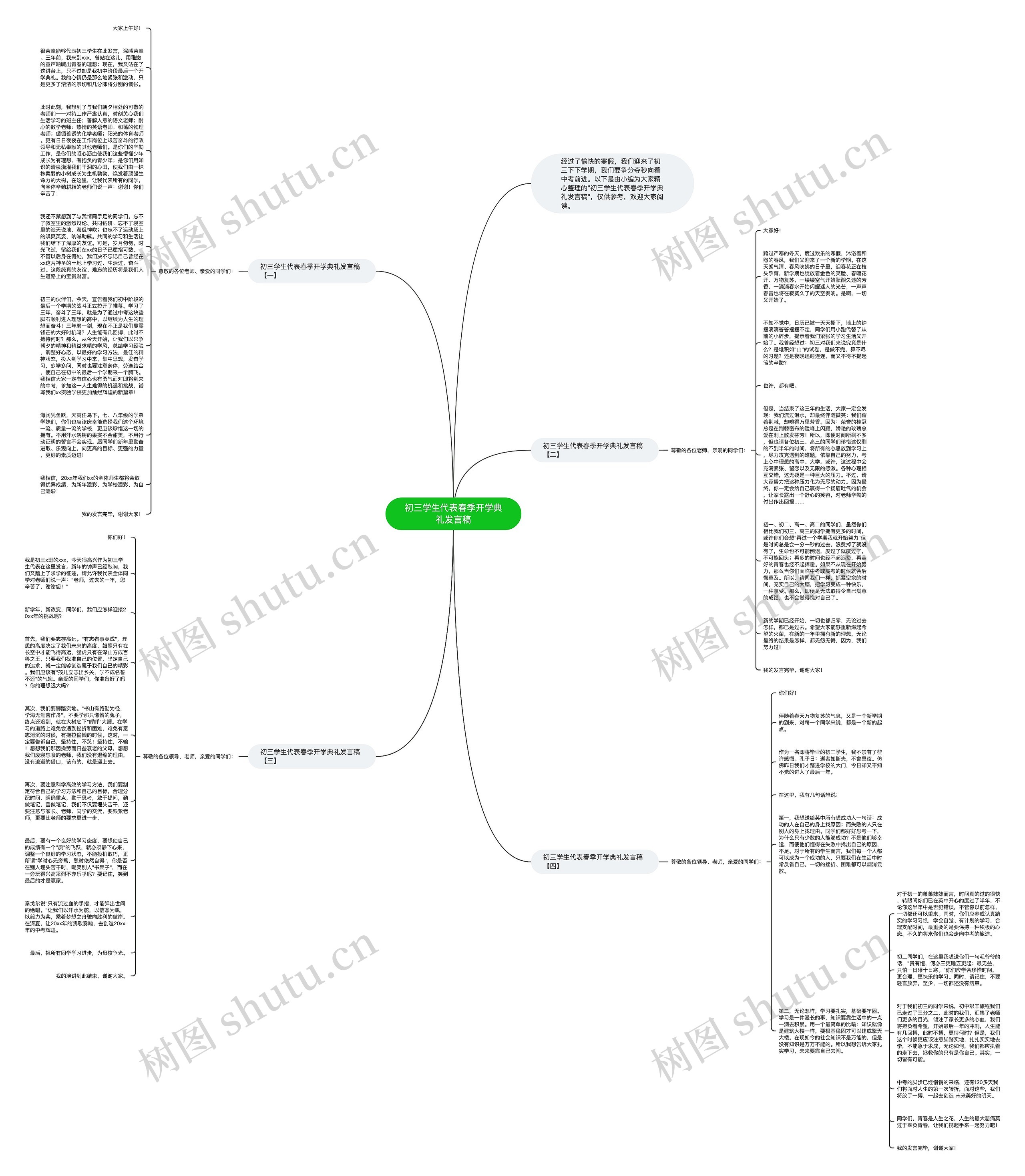 初三学生代表春季开学典礼发言稿思维导图