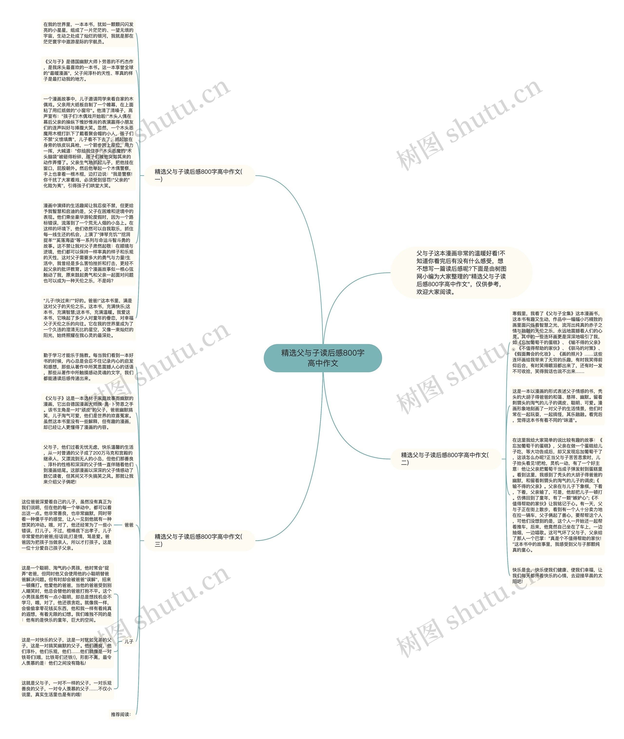 精选父与子读后感800字高中作文思维导图