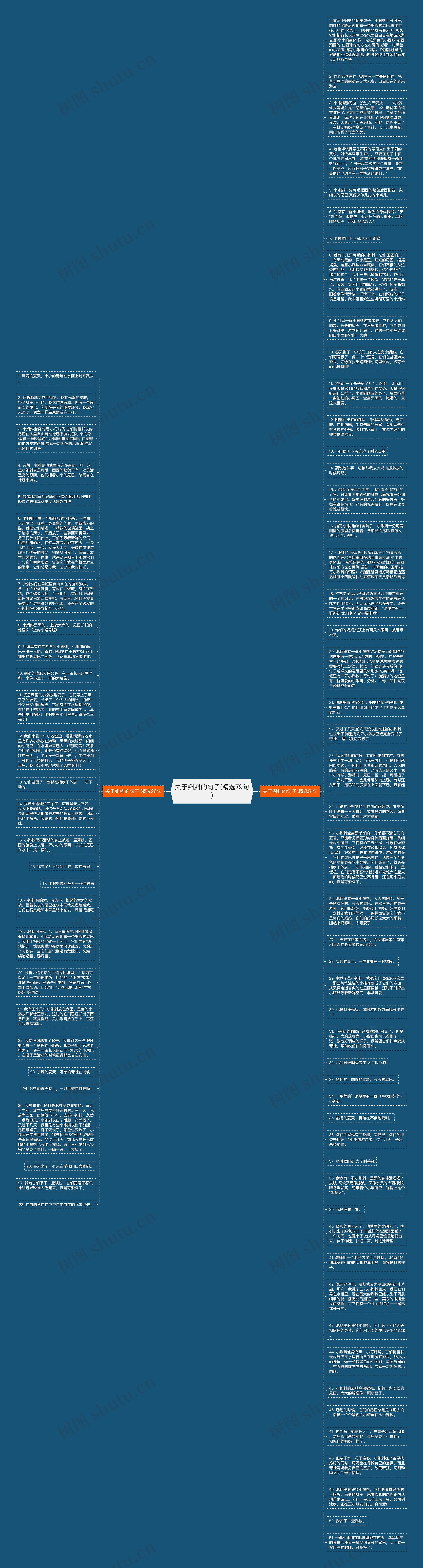 关于蝌蚪的句子(精选79句)思维导图