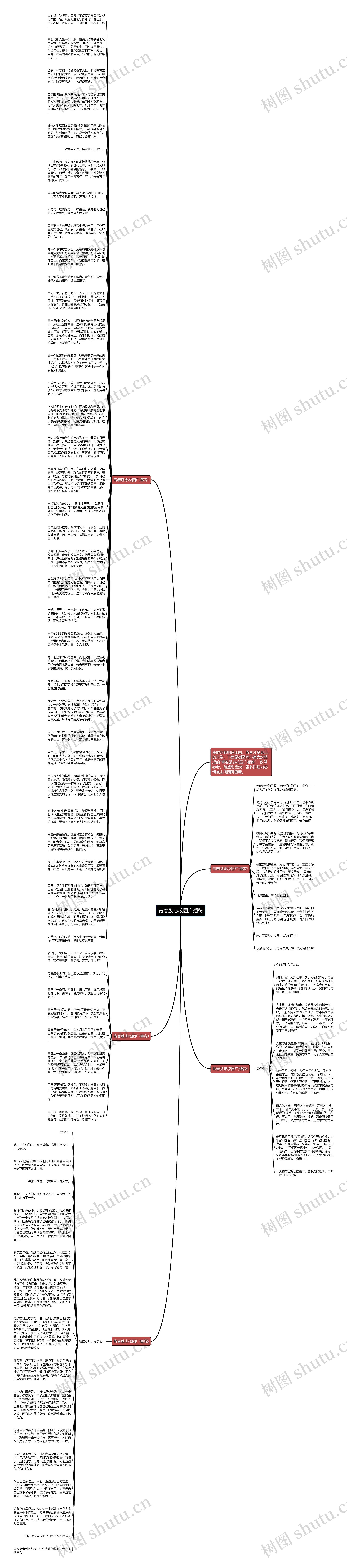 青春励志校园广播稿思维导图