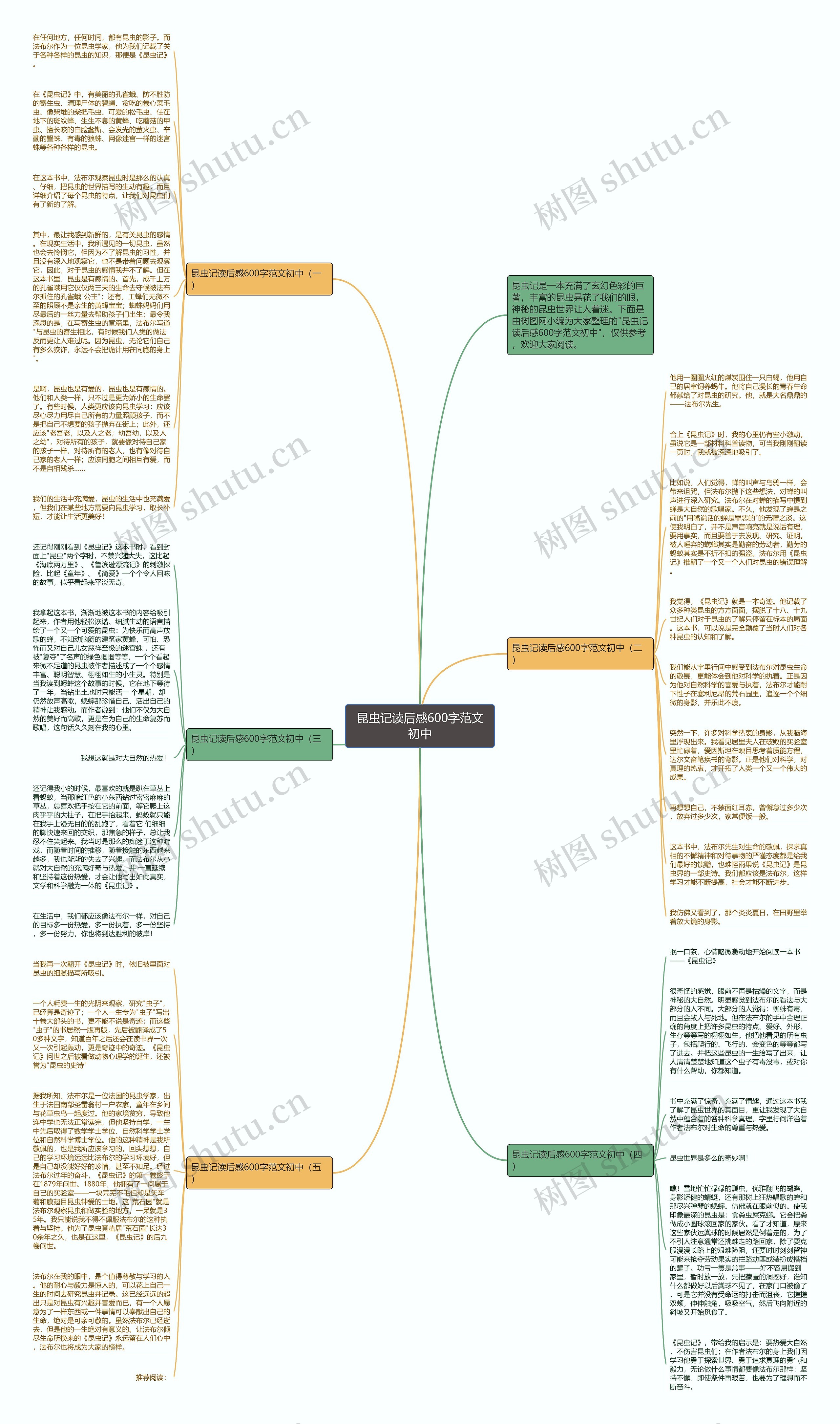 昆虫记读后感600字范文初中思维导图