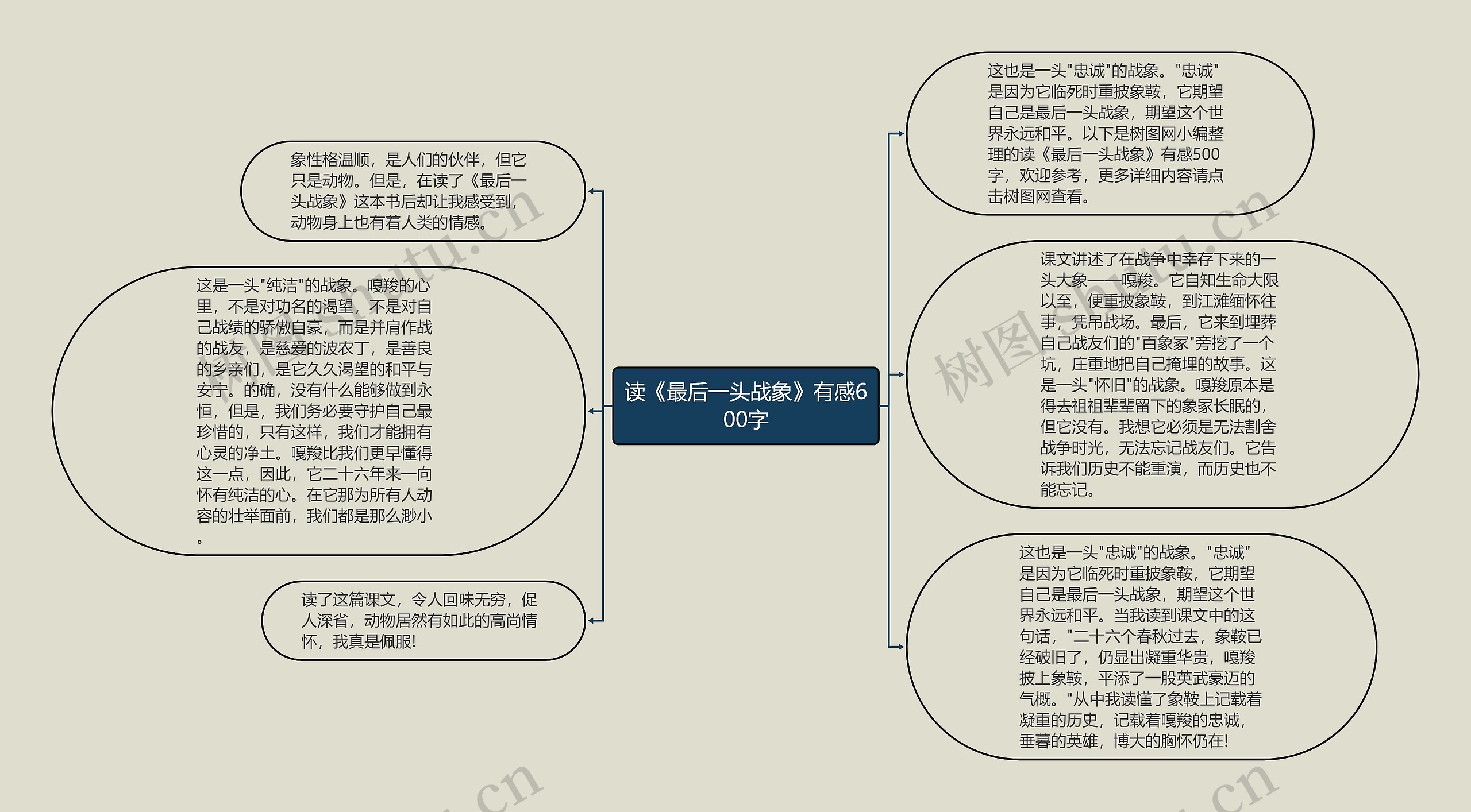 读《最后一头战象》有感600字思维导图