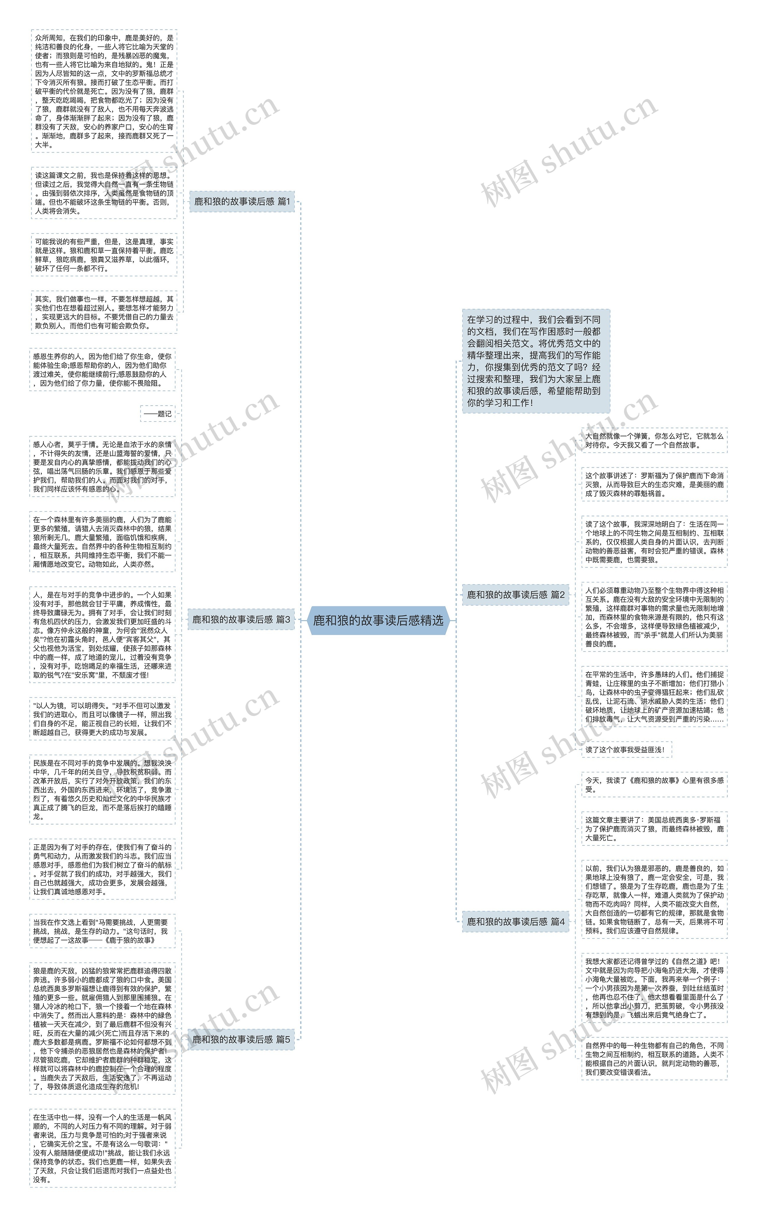 鹿和狼的故事读后感精选思维导图