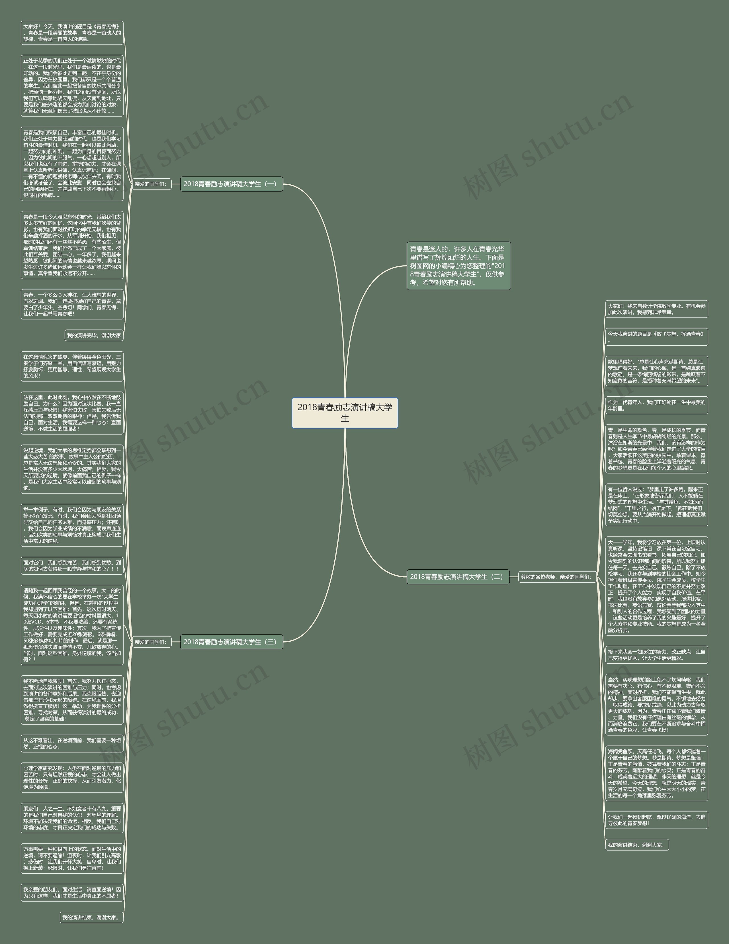 2018青春励志演讲稿大学生思维导图