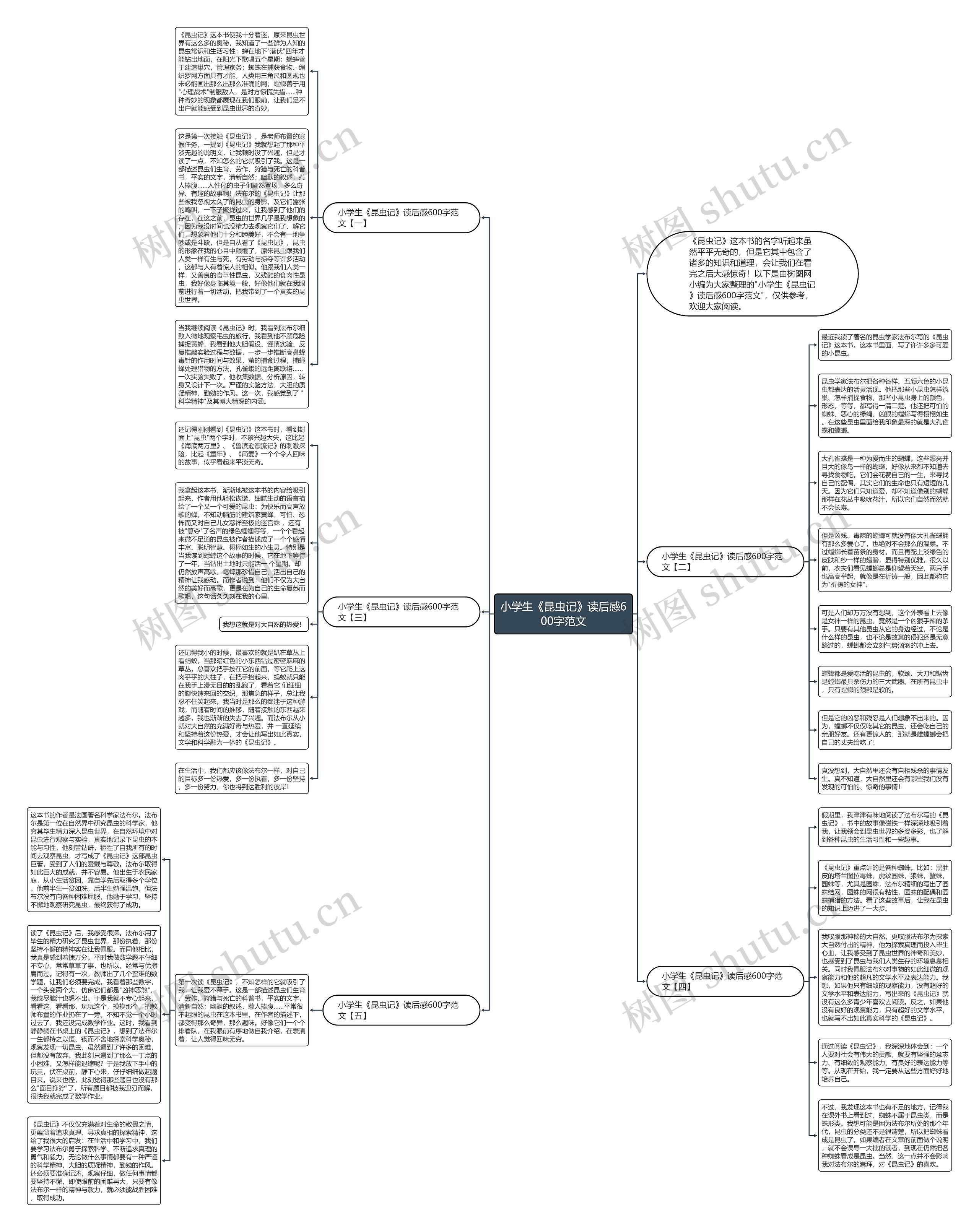 小学生《昆虫记》读后感600字范文思维导图