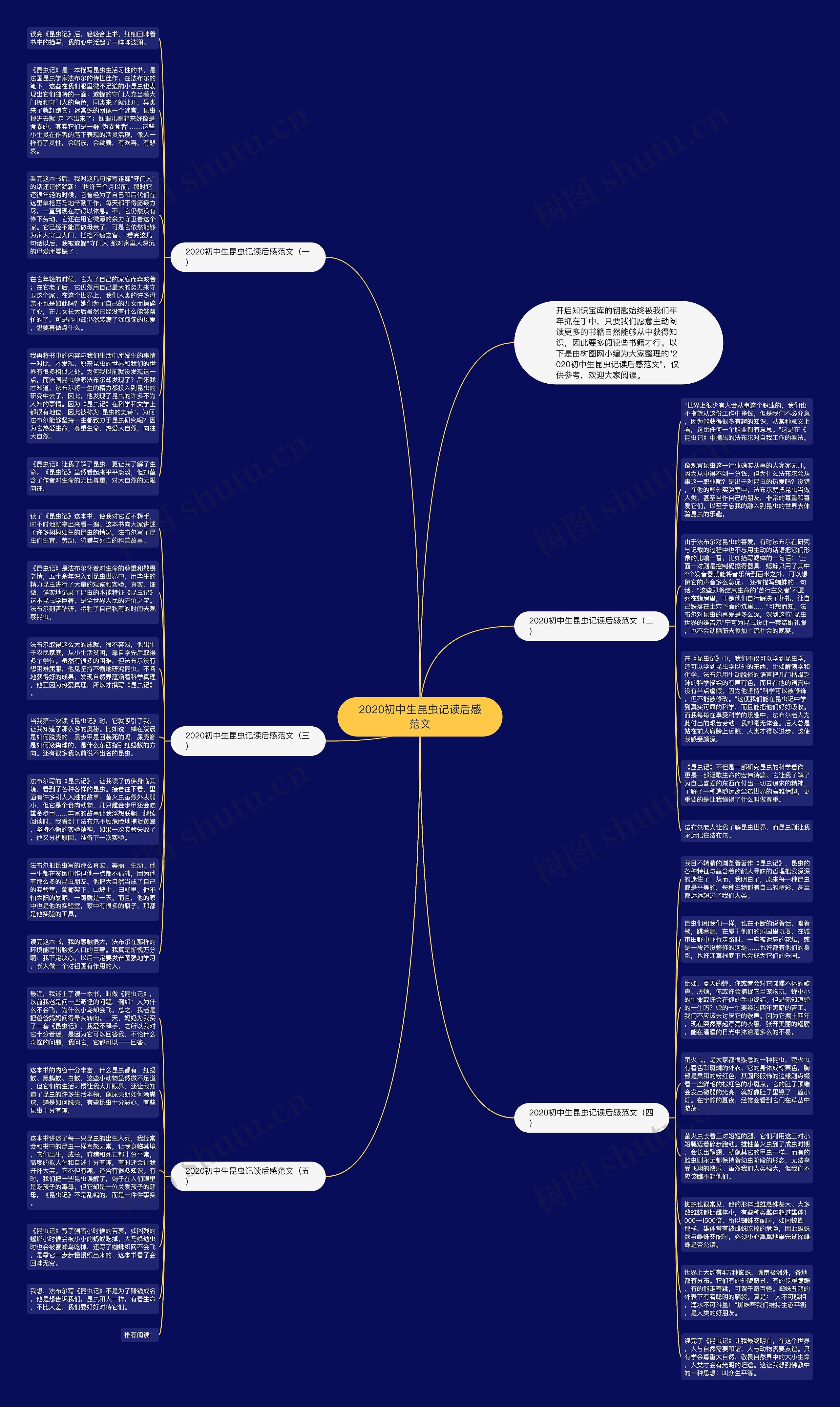 2020初中生昆虫记读后感范文思维导图