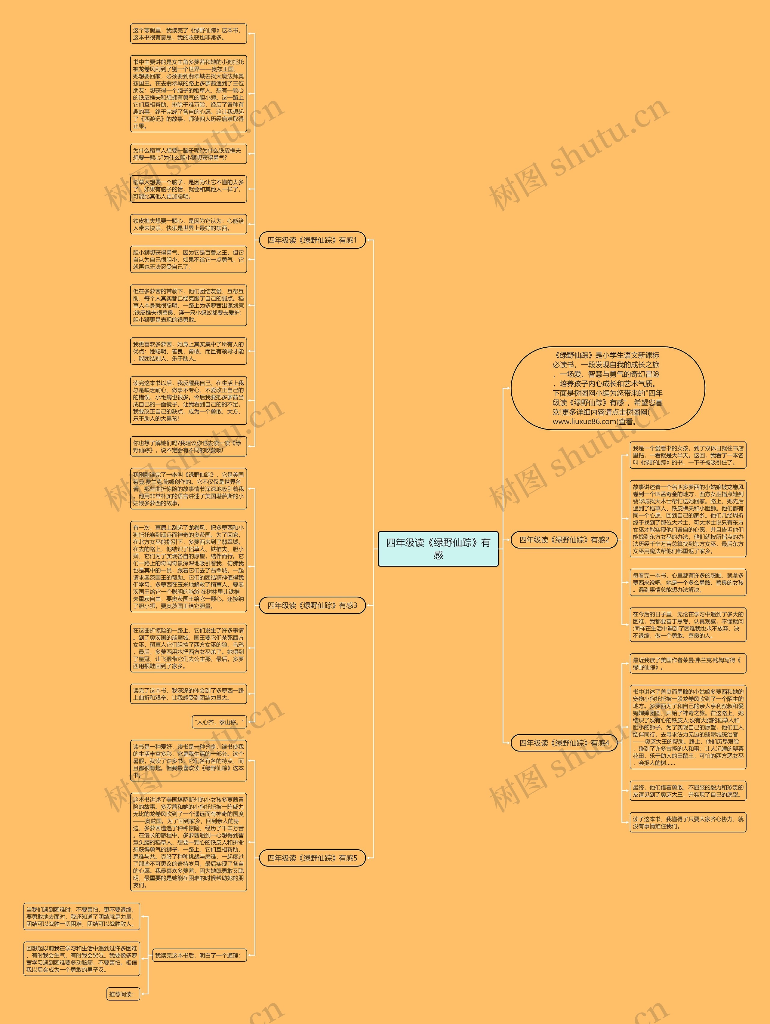 四年级读《绿野仙踪》有感思维导图