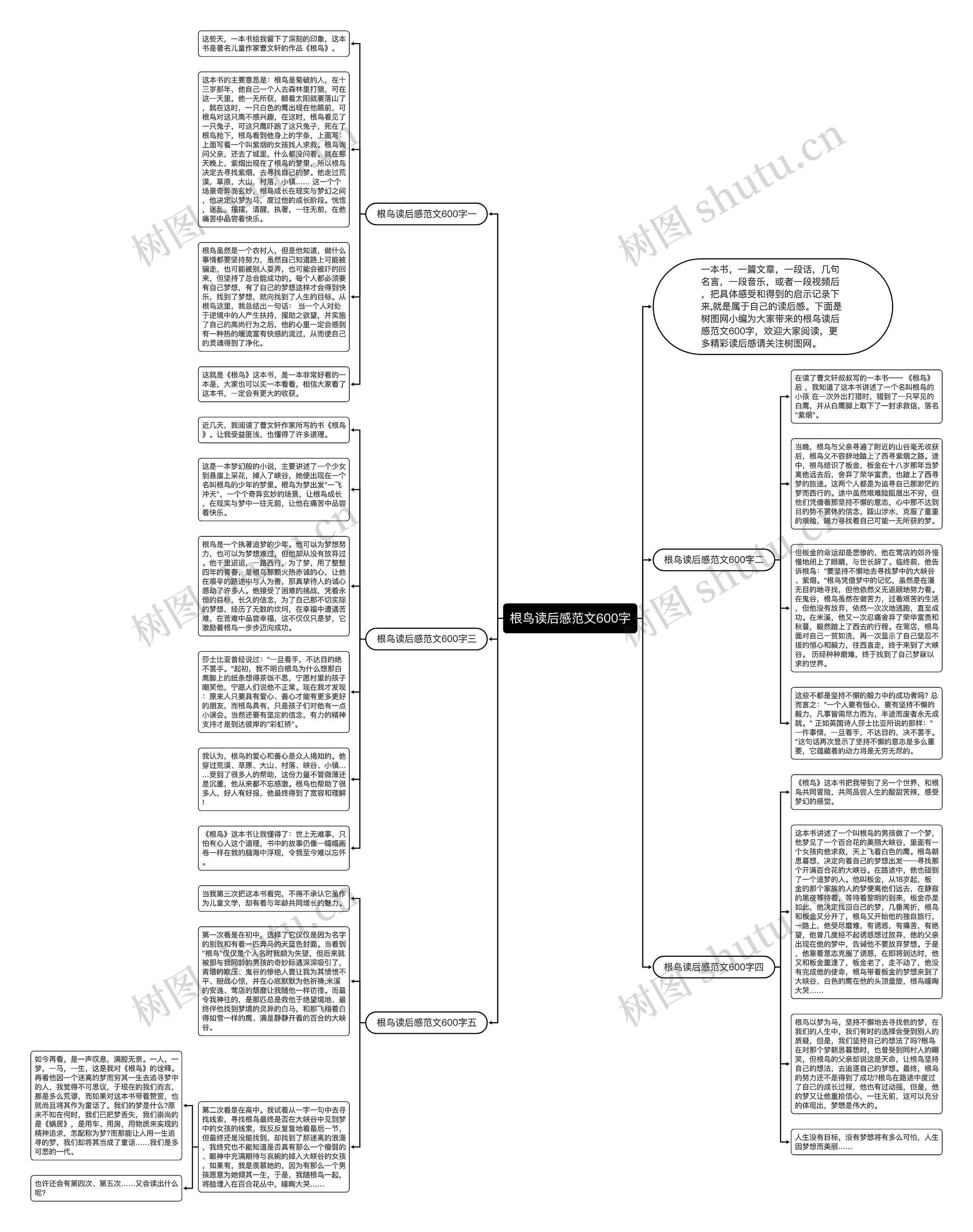 根鸟读后感范文600字思维导图