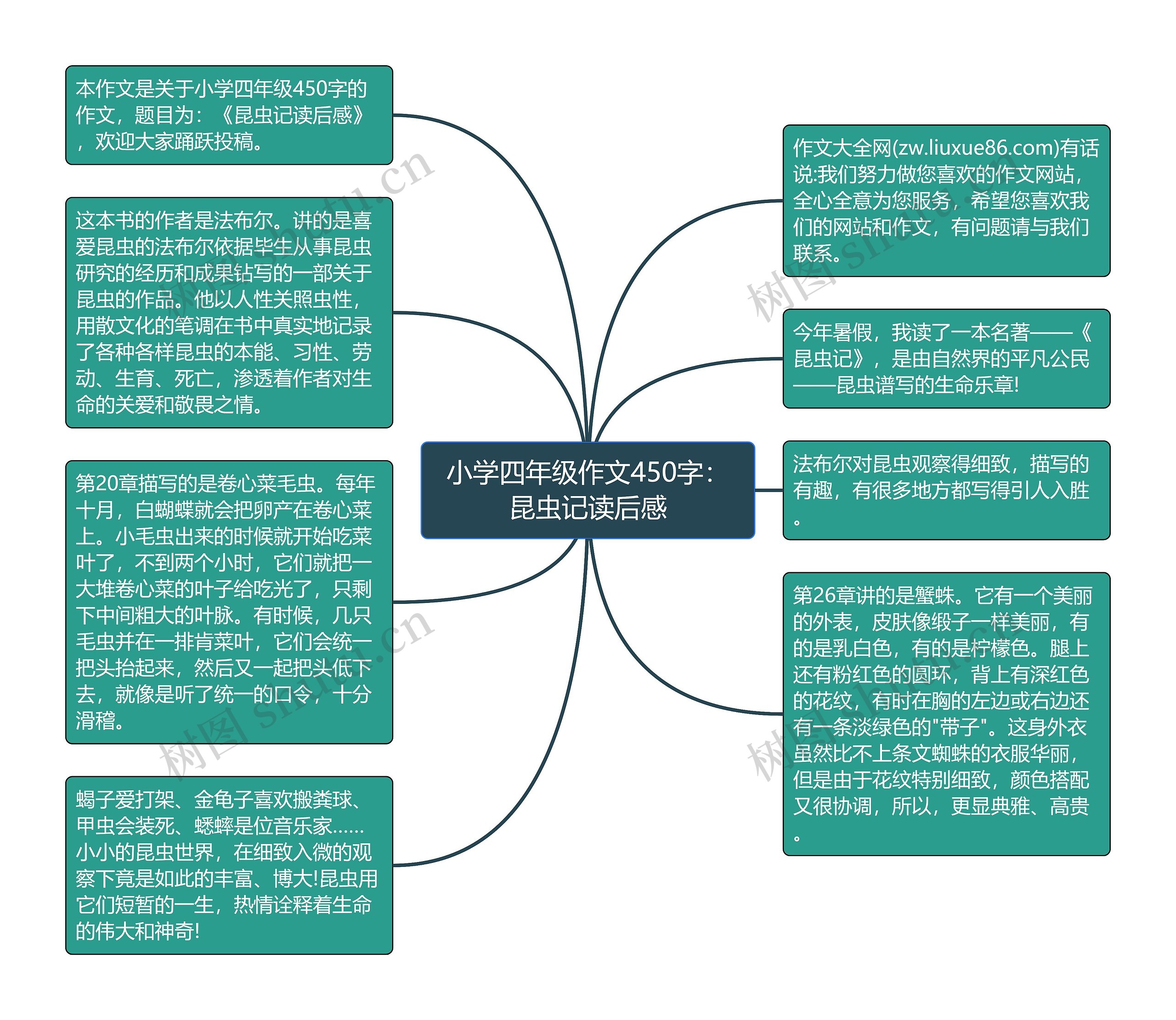 小学四年级作文450字：昆虫记读后感