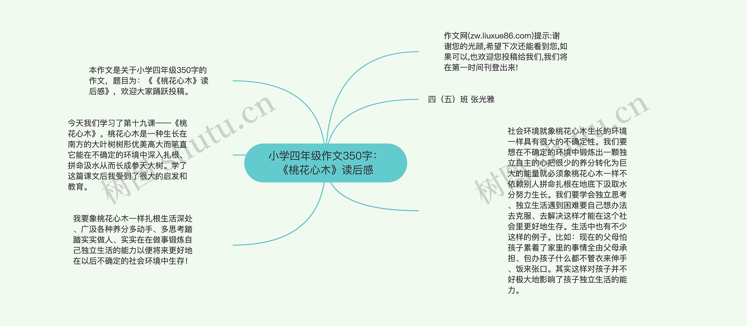 小学四年级作文350字：《桃花心木》读后感思维导图