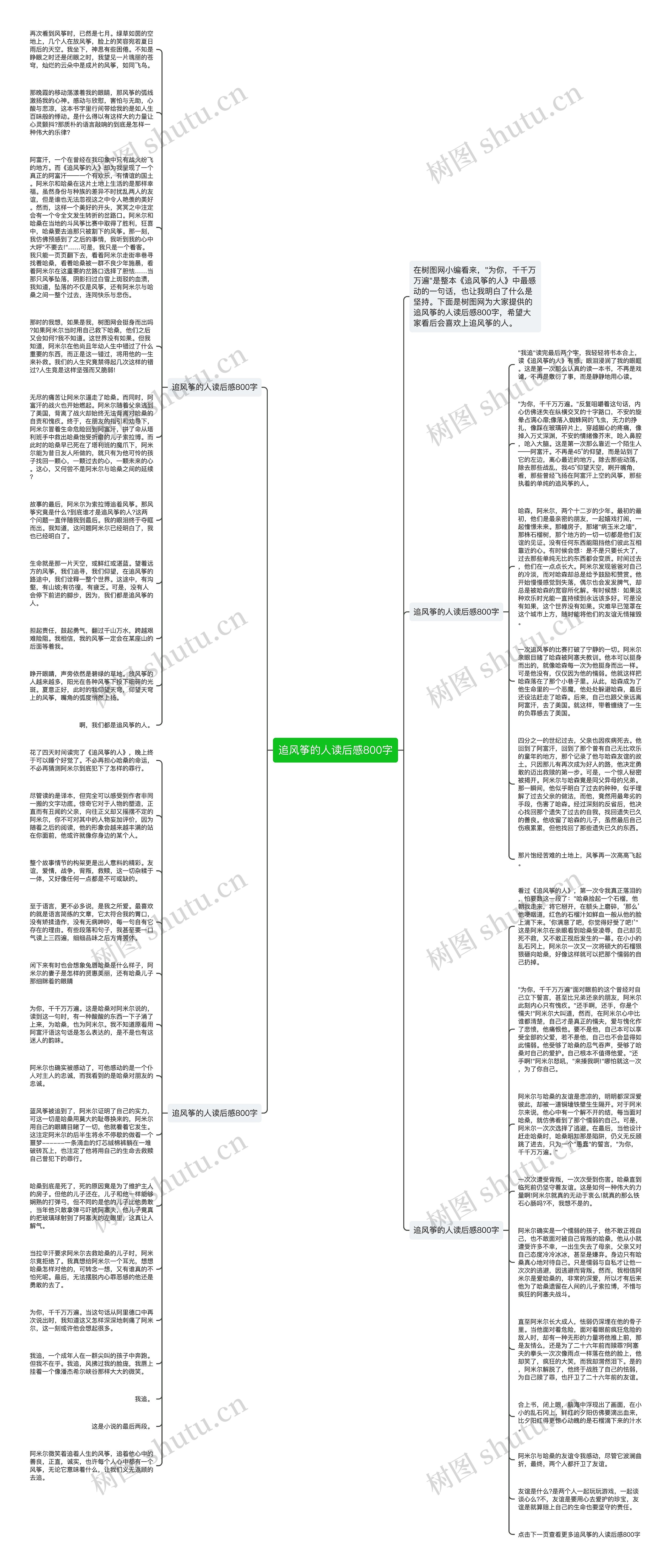 追风筝的人读后感800字思维导图