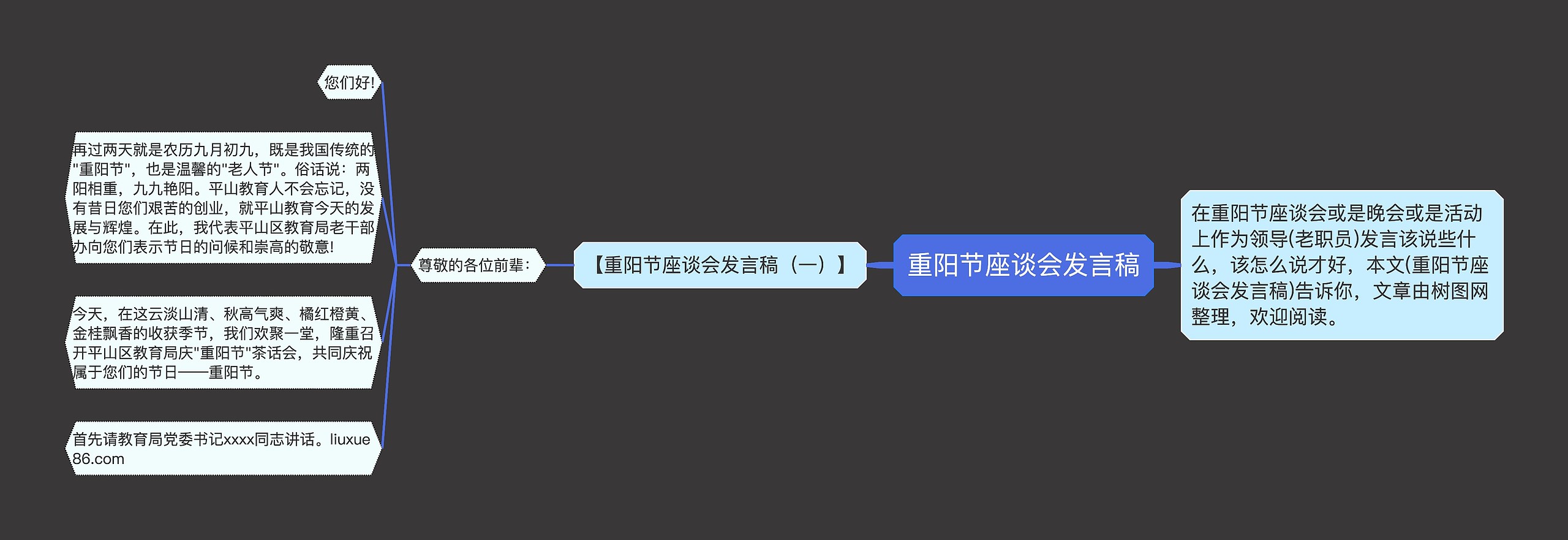 重阳节座谈会发言稿思维导图