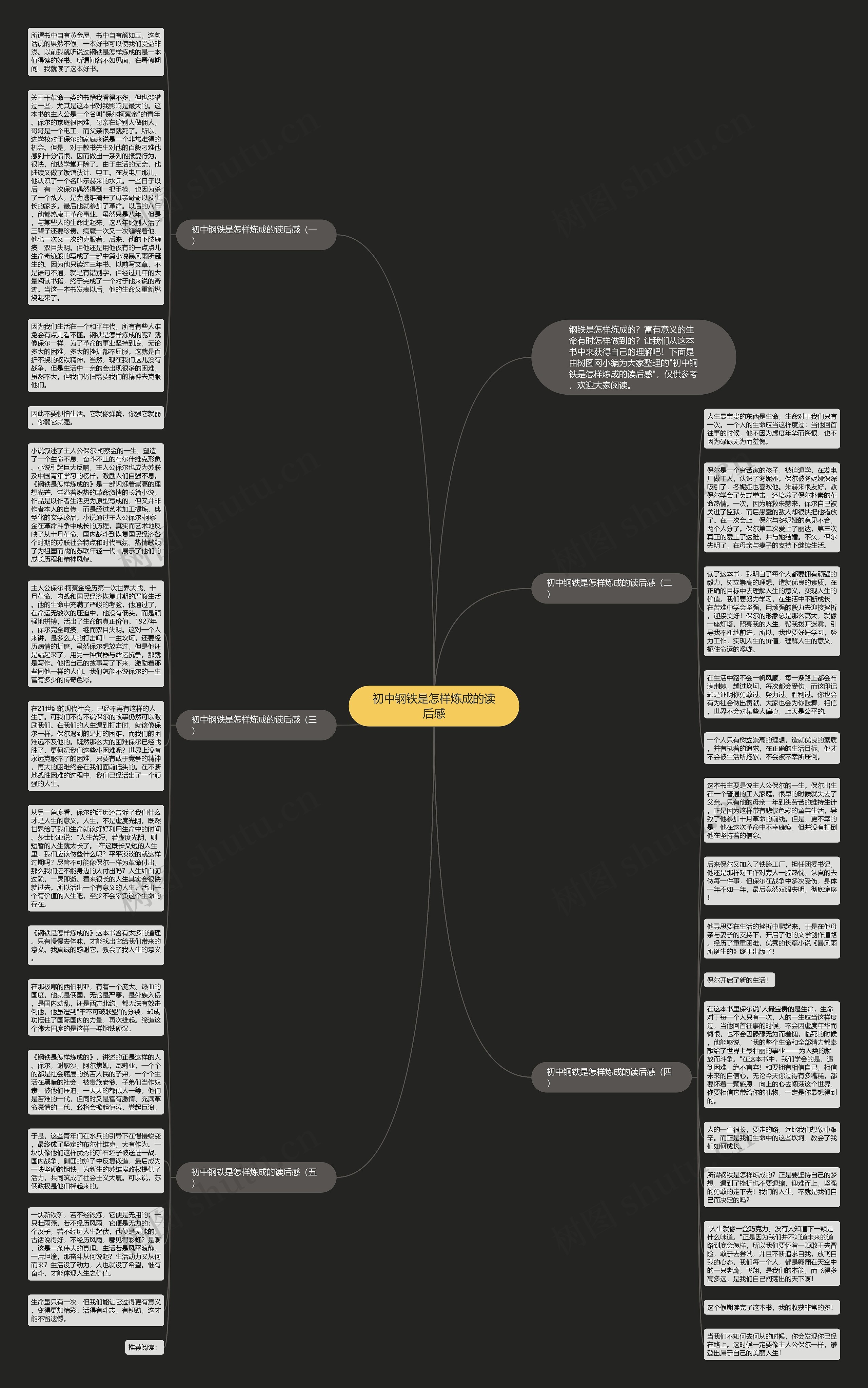 初中钢铁是怎样炼成的读后感思维导图