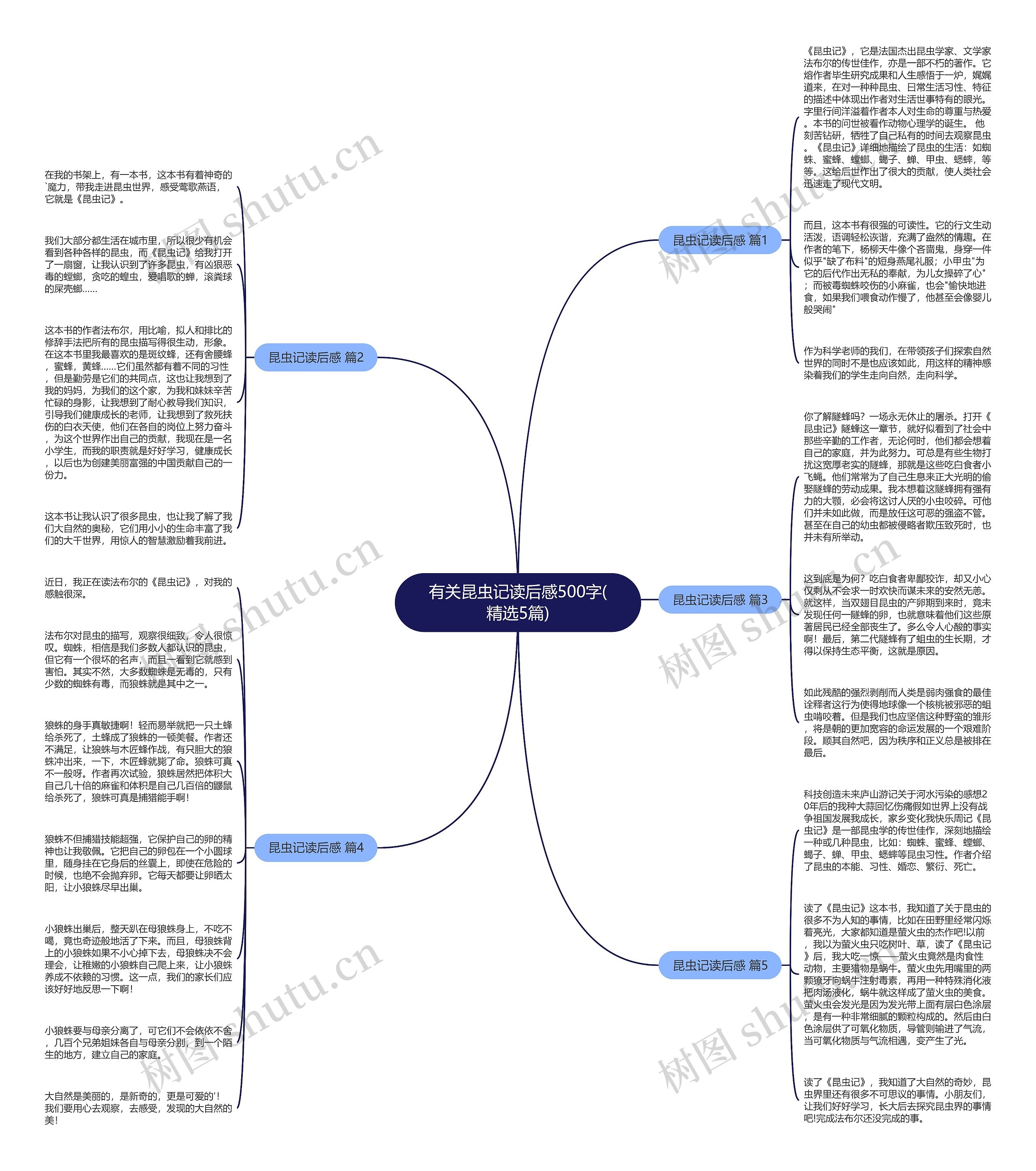 有关昆虫记读后感500字(精选5篇)思维导图