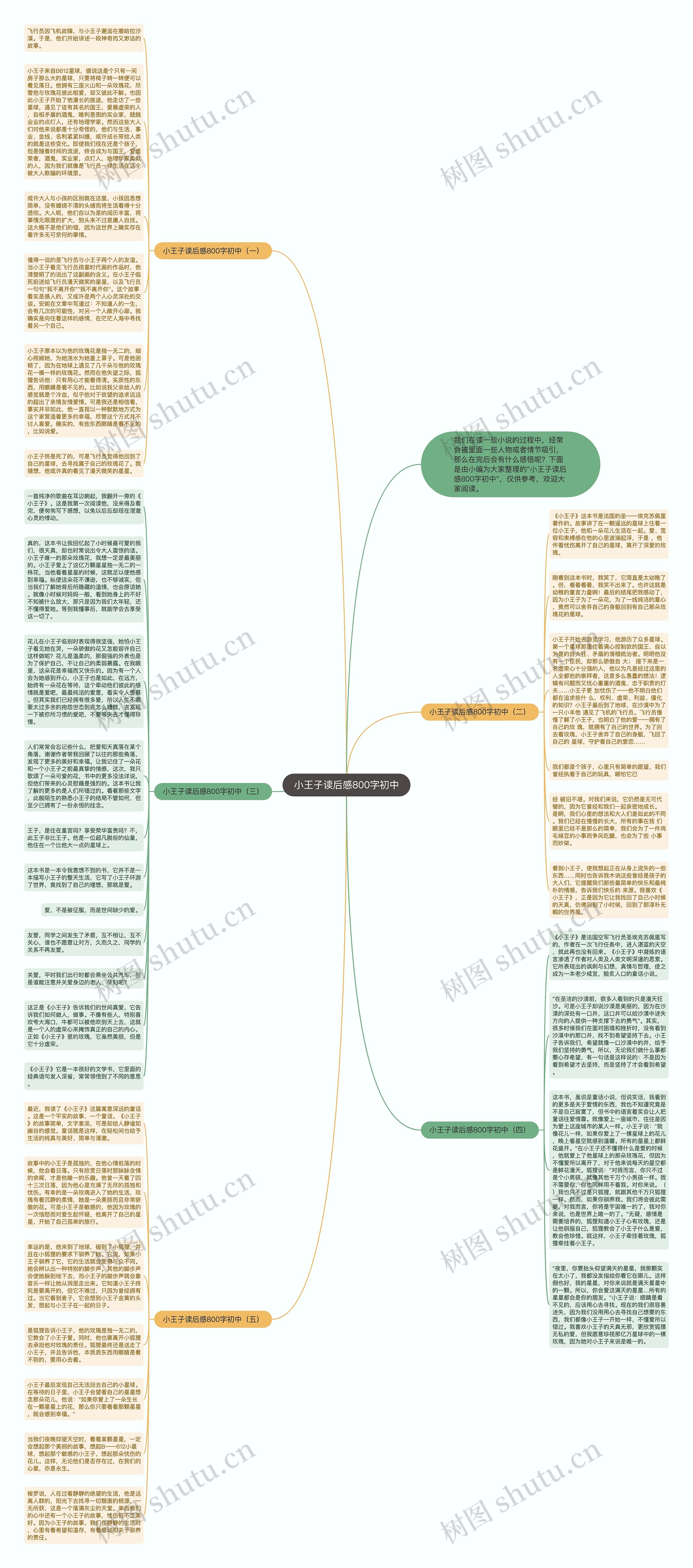 小王子读后感800字初中思维导图