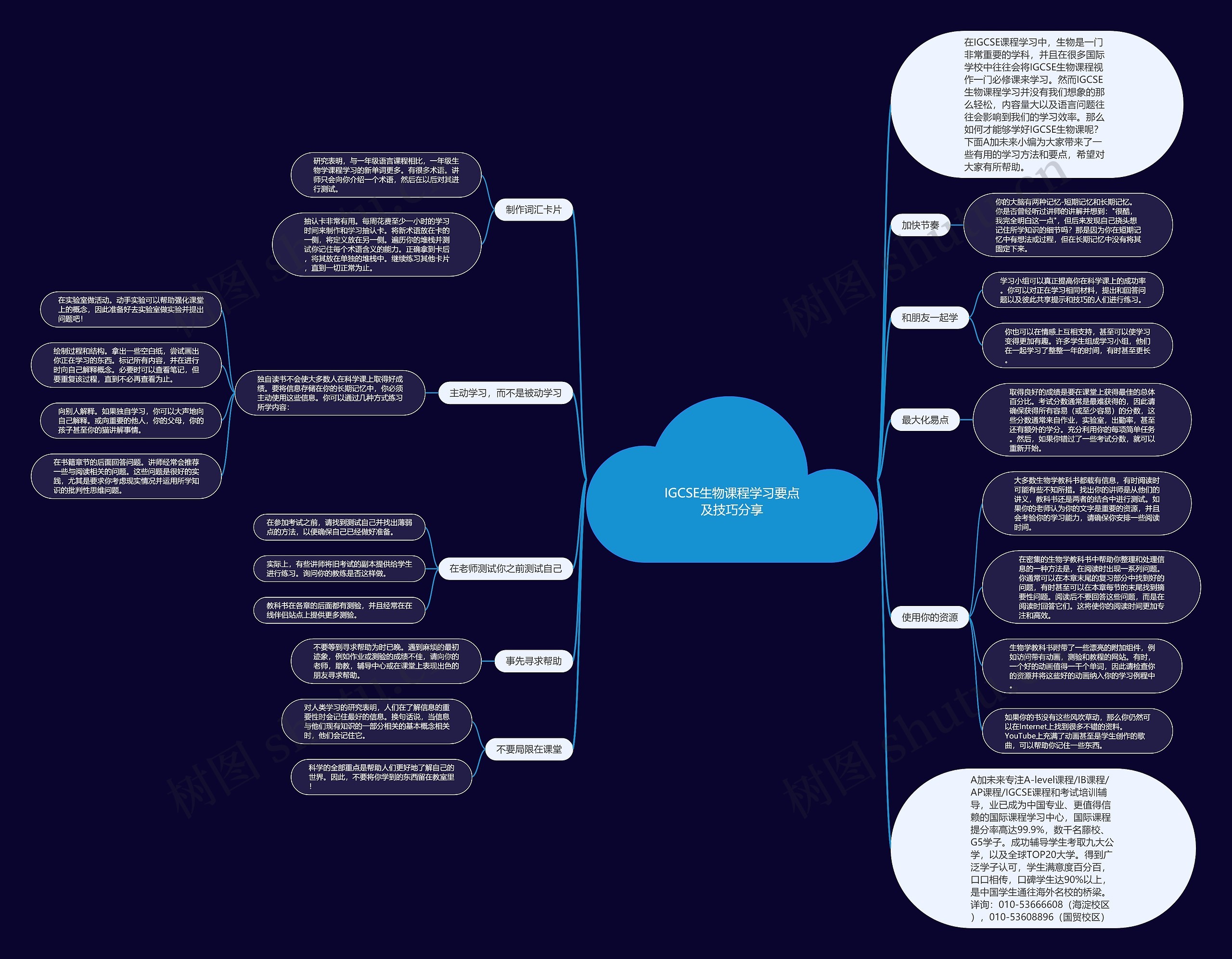 IGCSE生物课程学习要点及技巧分享思维导图