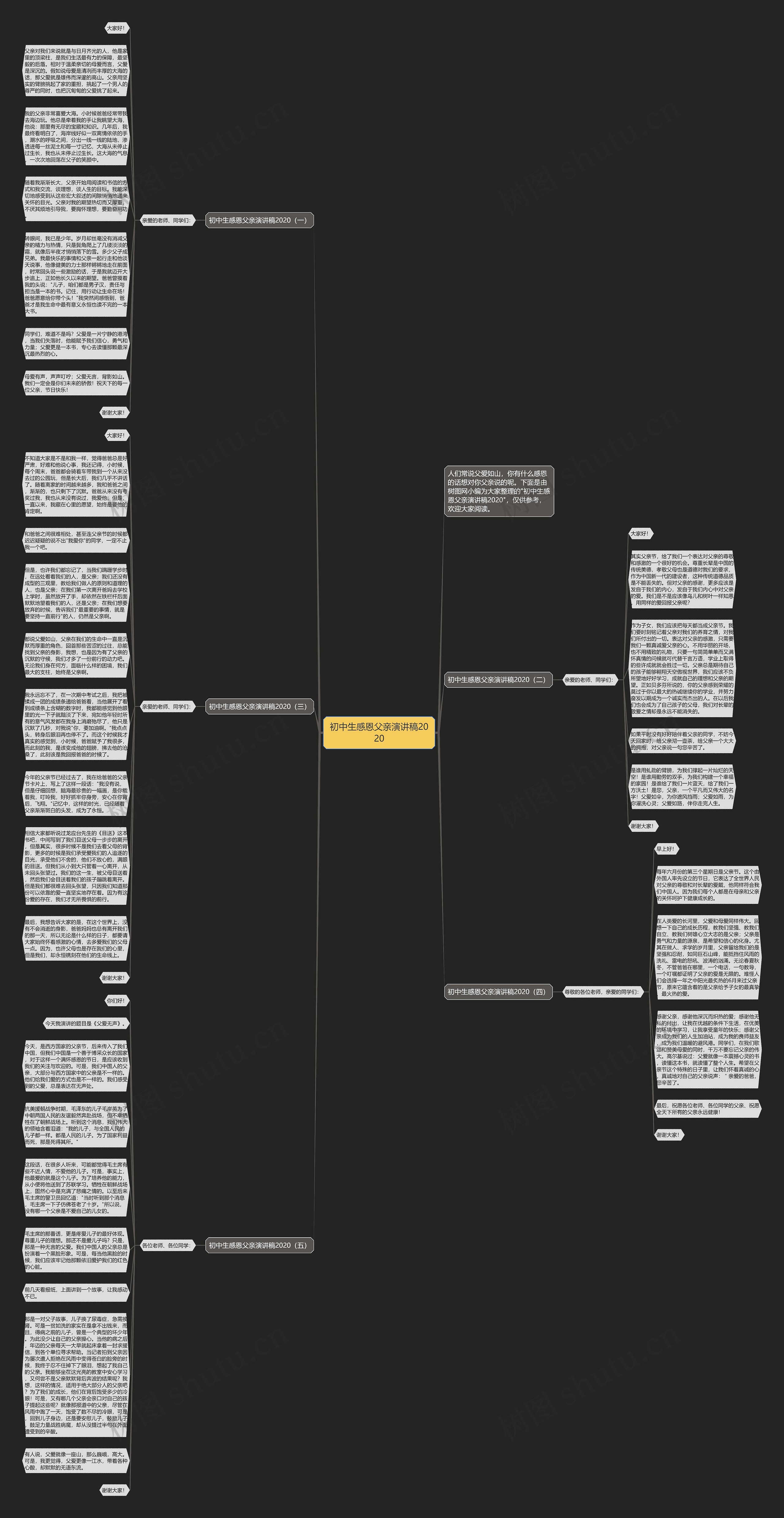 初中生感恩父亲演讲稿2020思维导图