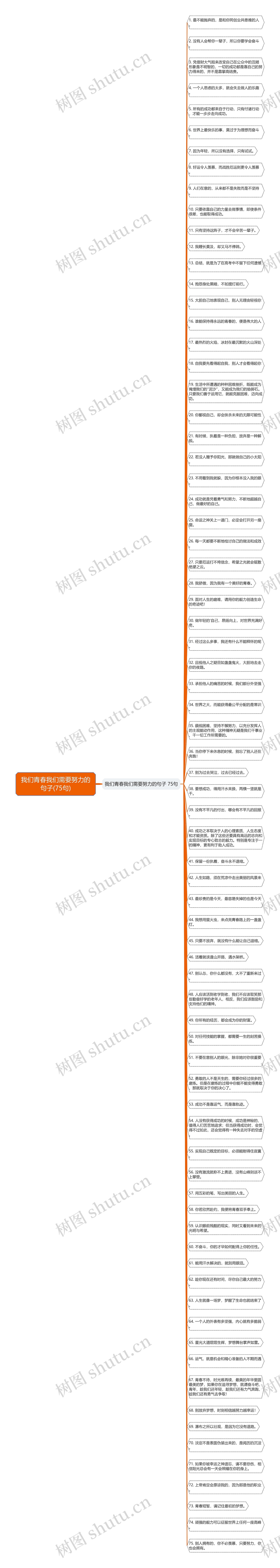 我们青春我们需要努力的句子(75句)思维导图