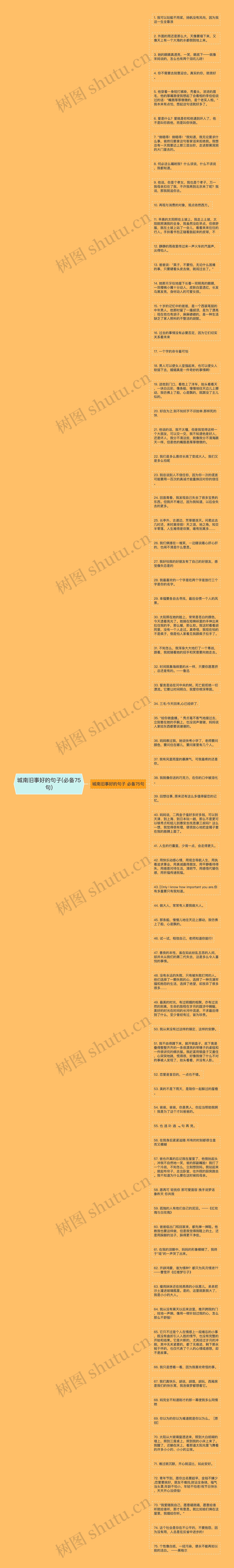 城南旧事好的句子(必备75句)思维导图