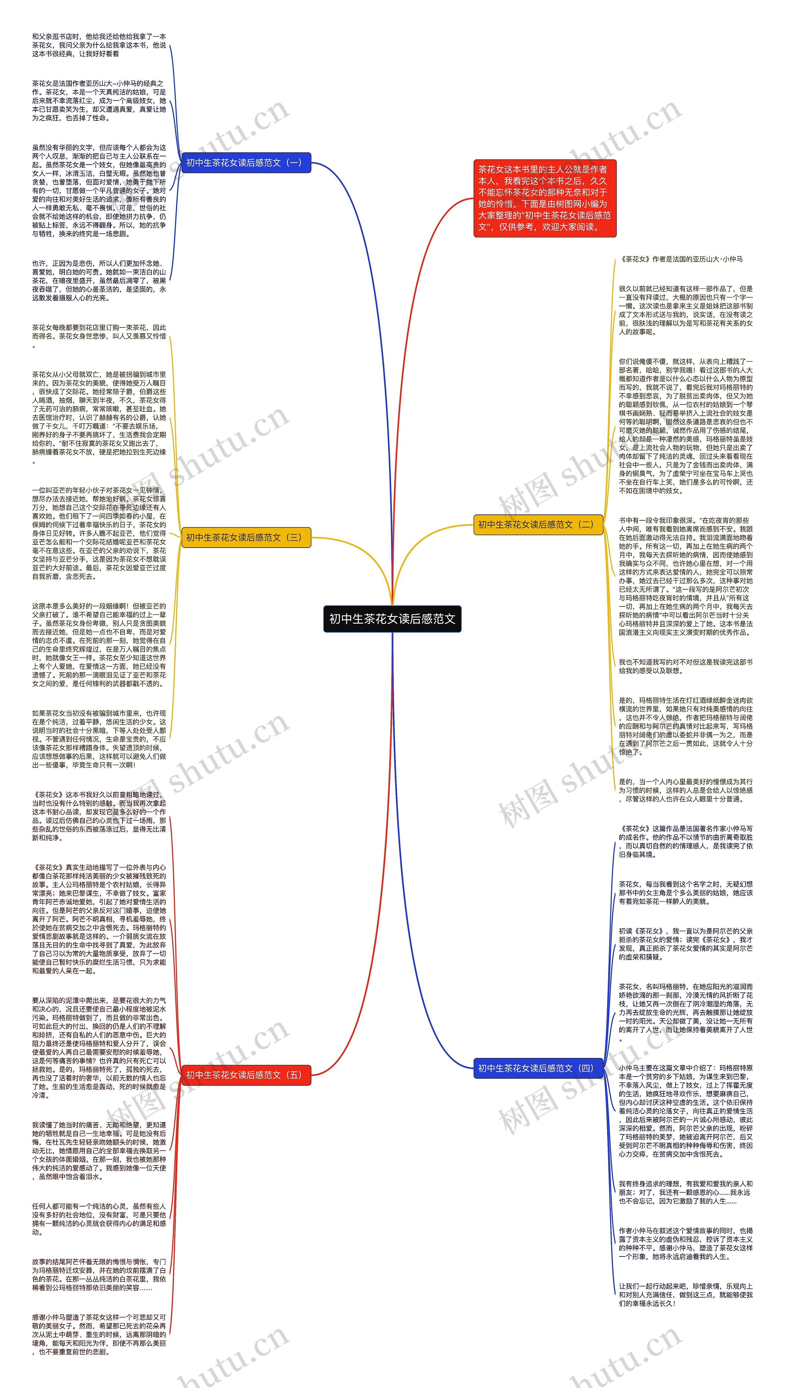 初中生茶花女读后感范文思维导图