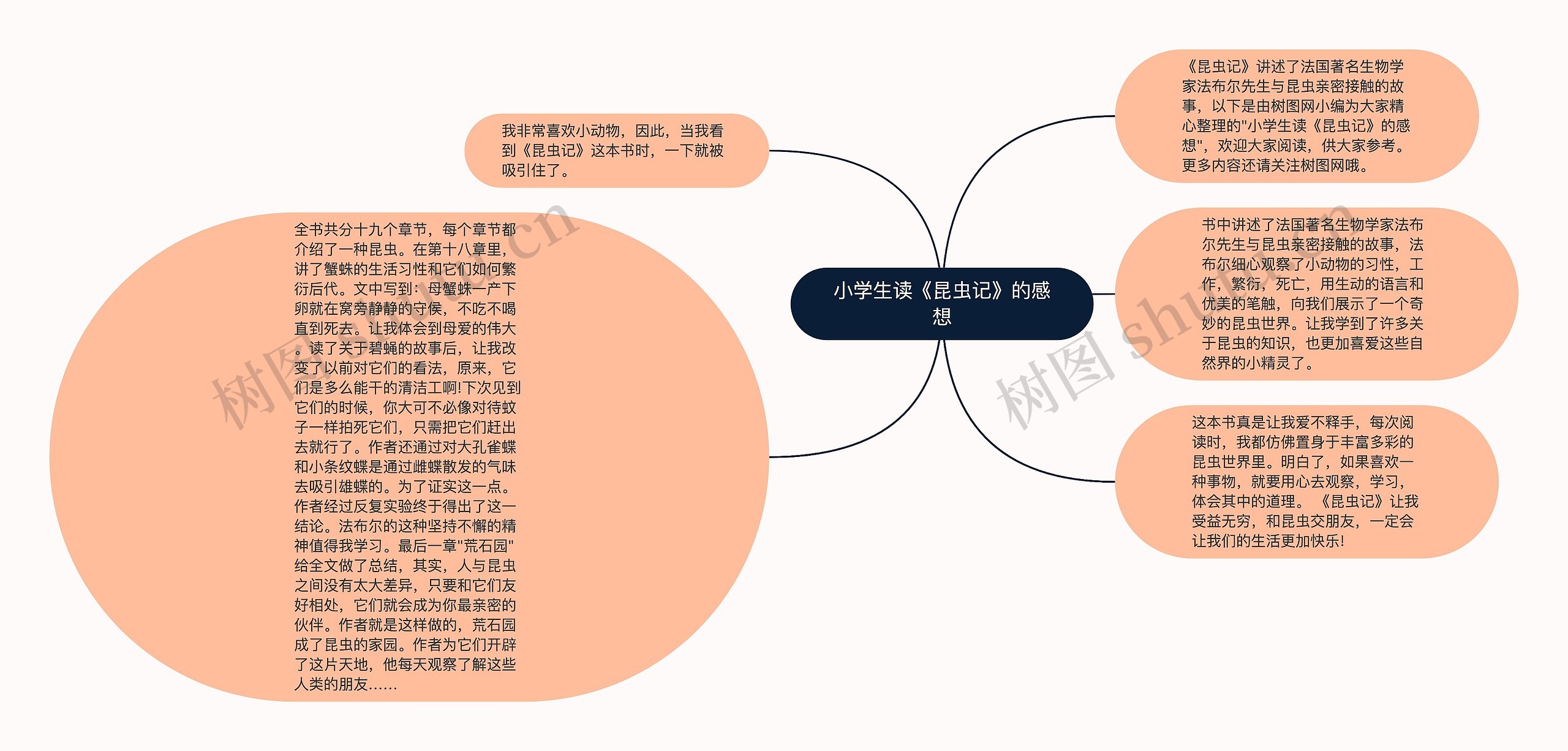 小学生读《昆虫记》的感想