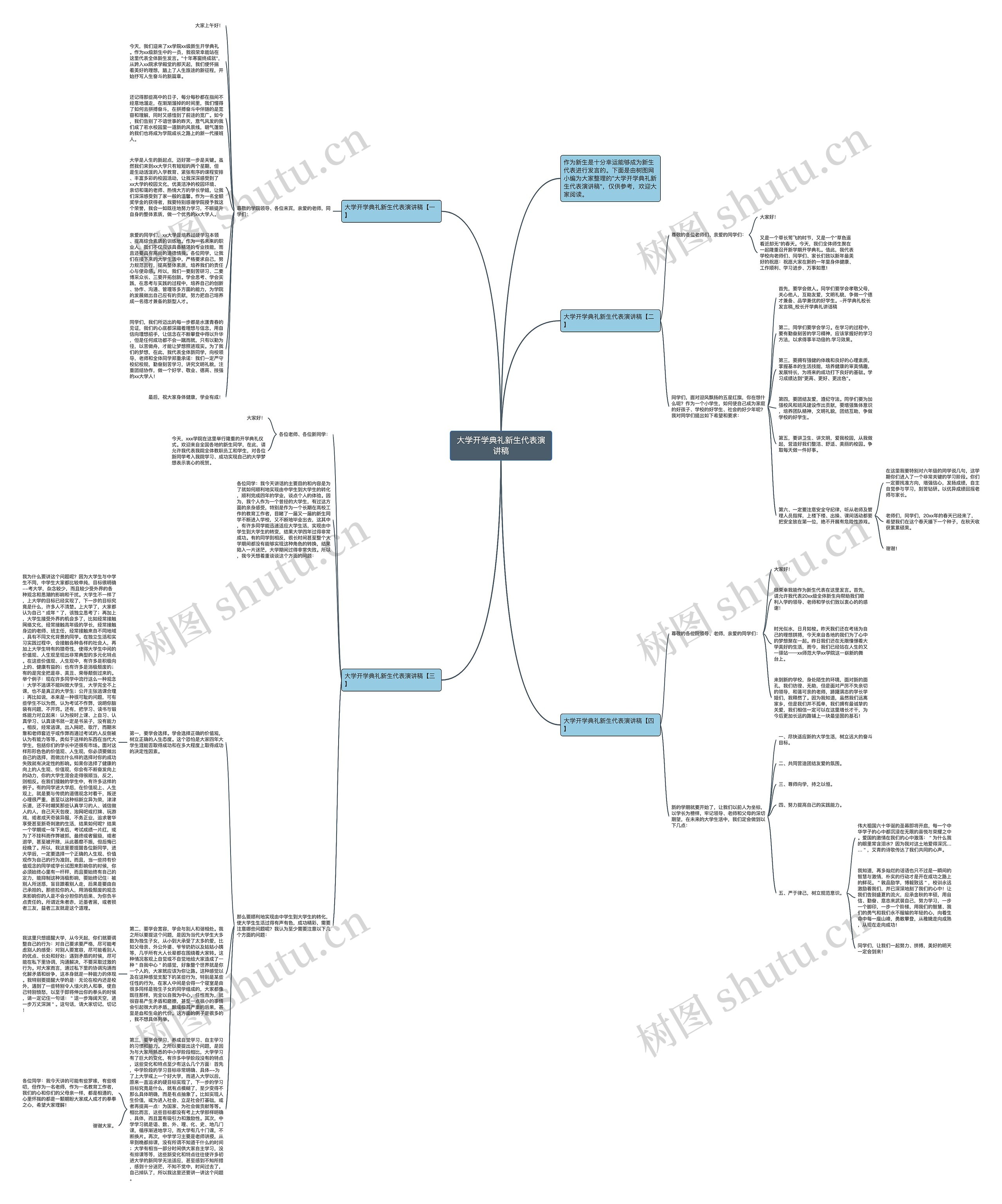 大学开学典礼新生代表演讲稿思维导图