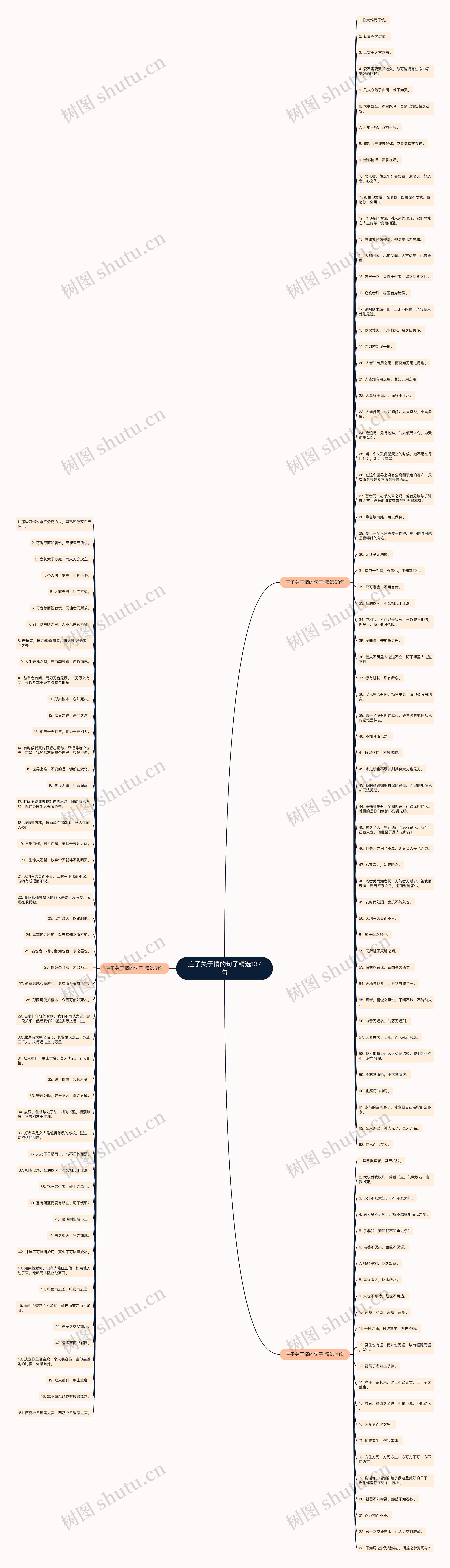 庄子关于情的句子精选137句思维导图
