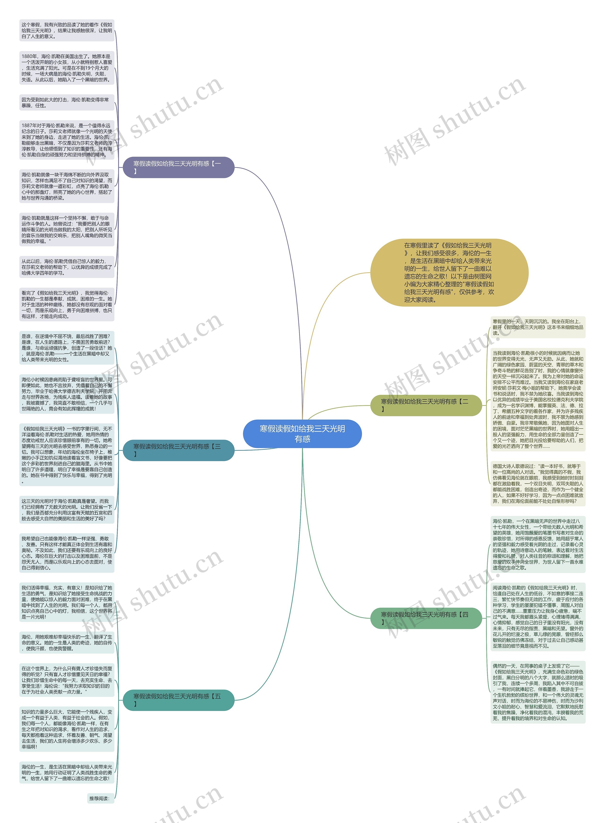 寒假读假如给我三天光明有感思维导图