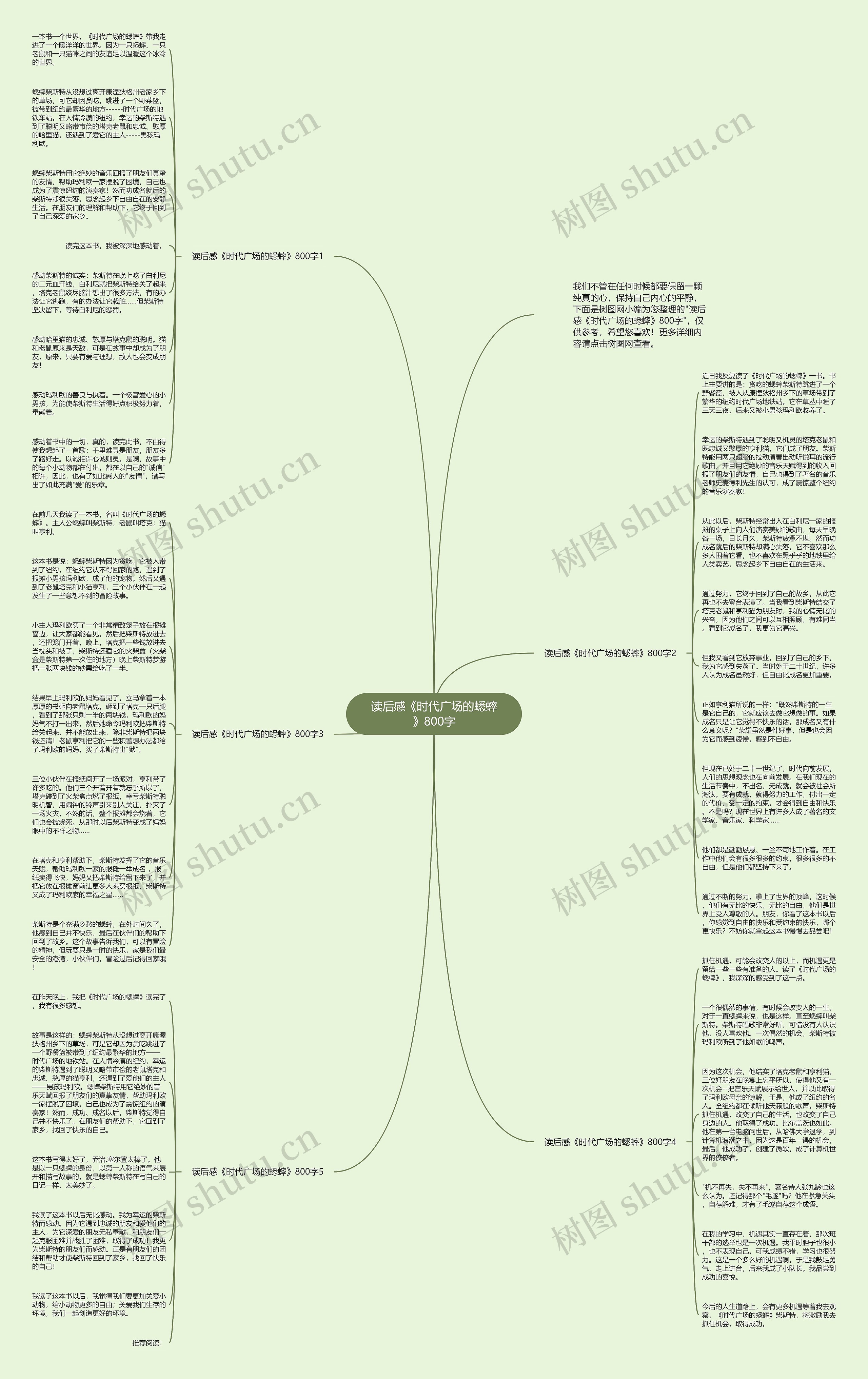 读后感《时代广场的蟋蟀》800字思维导图