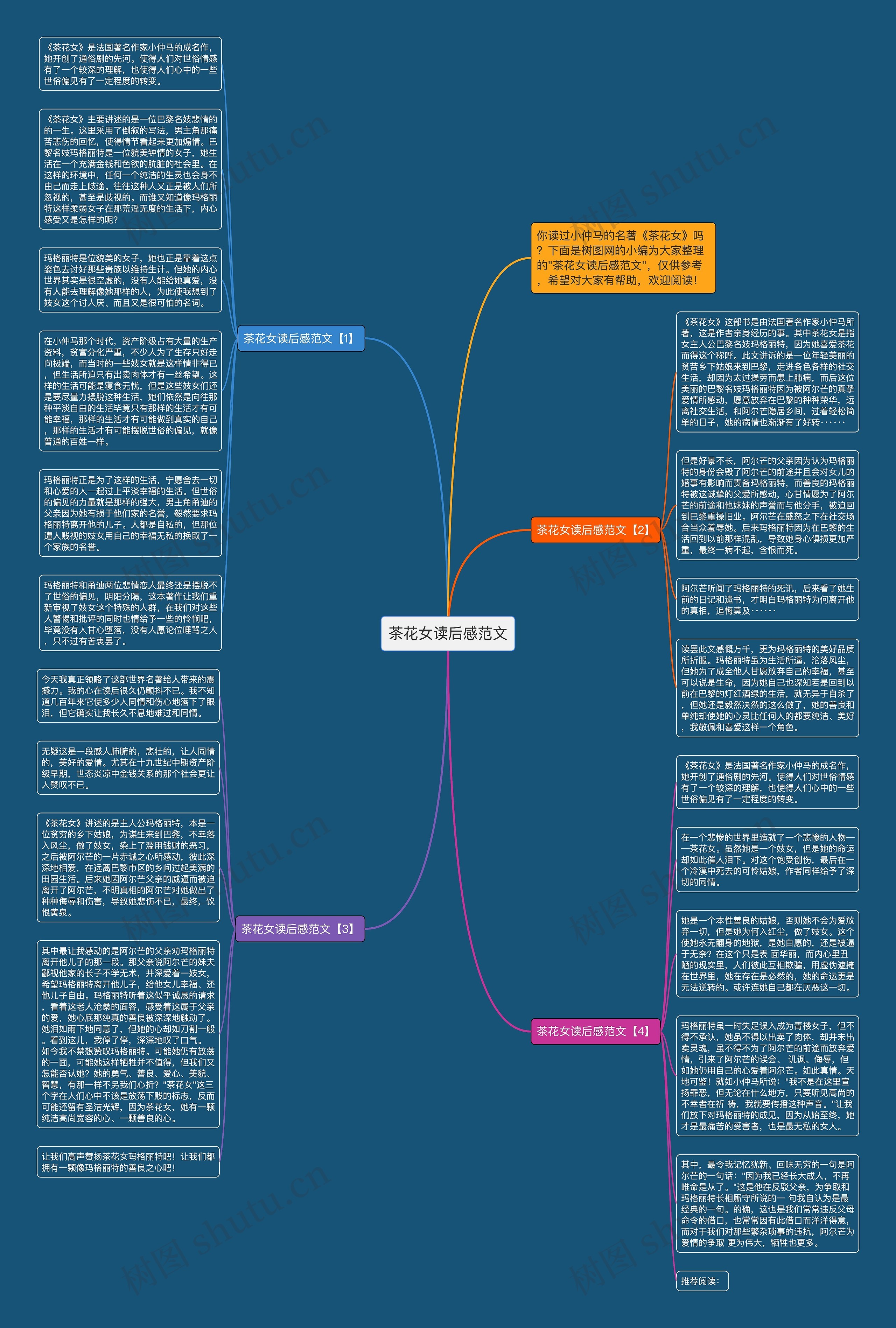 茶花女读后感范文思维导图