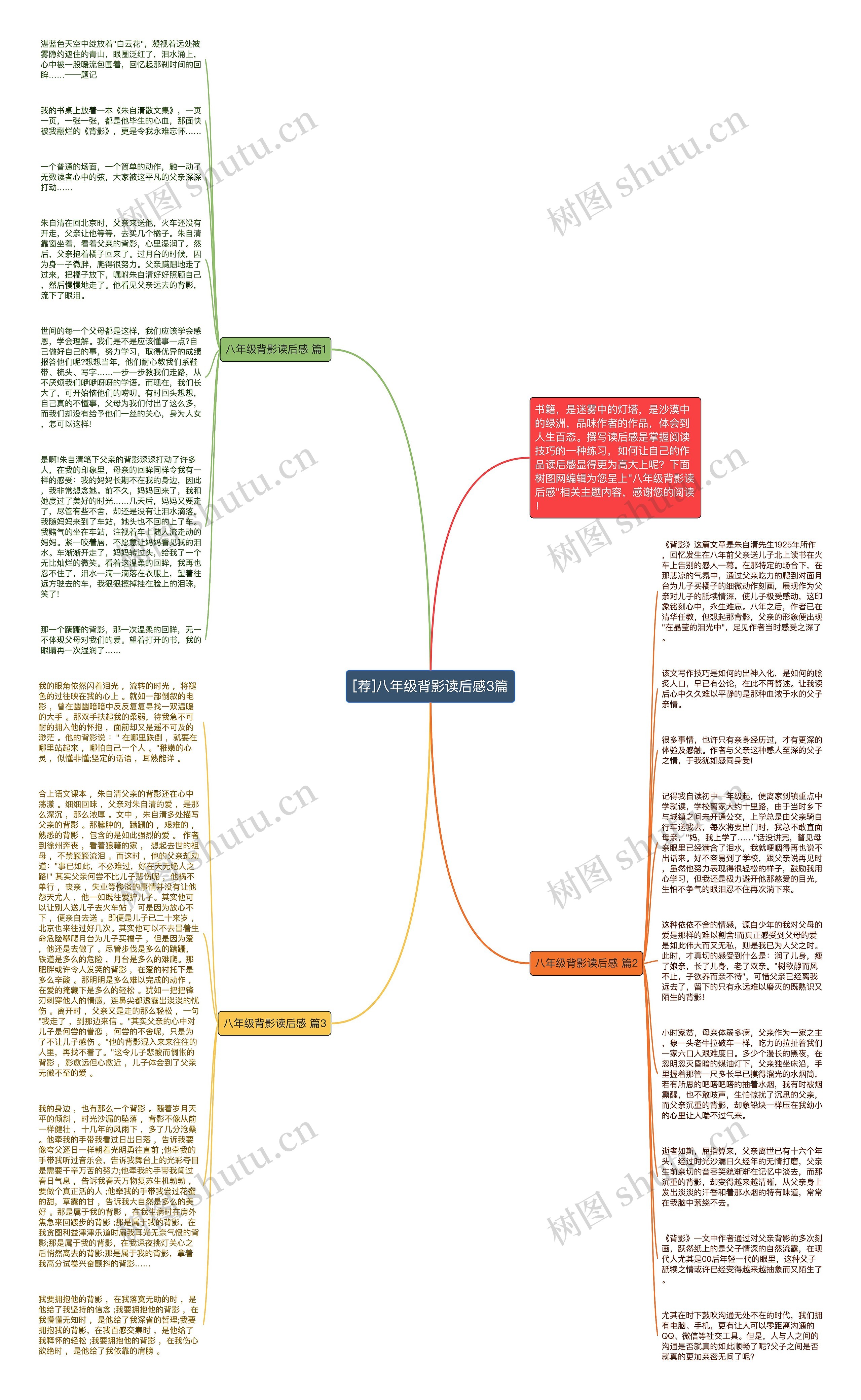 [荐]八年级背影读后感3篇思维导图