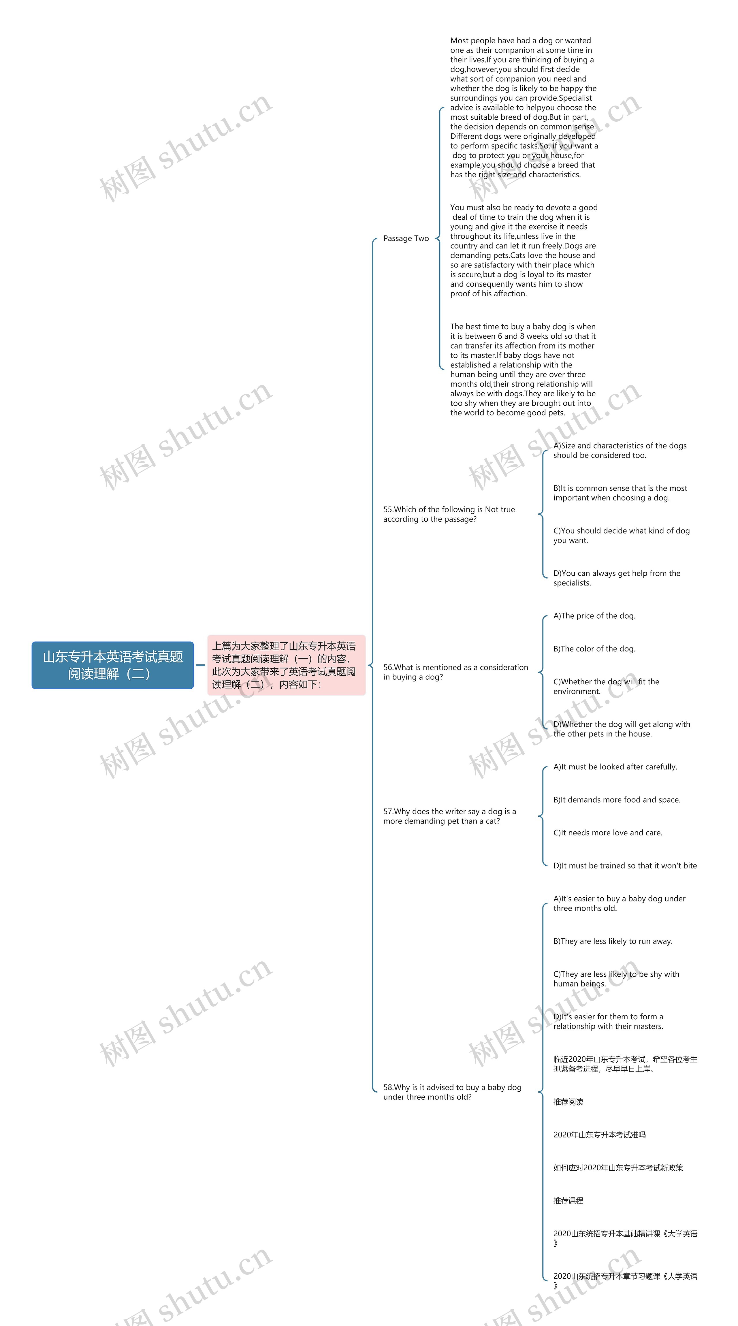 山东专升本英语考试真题阅读理解（二）