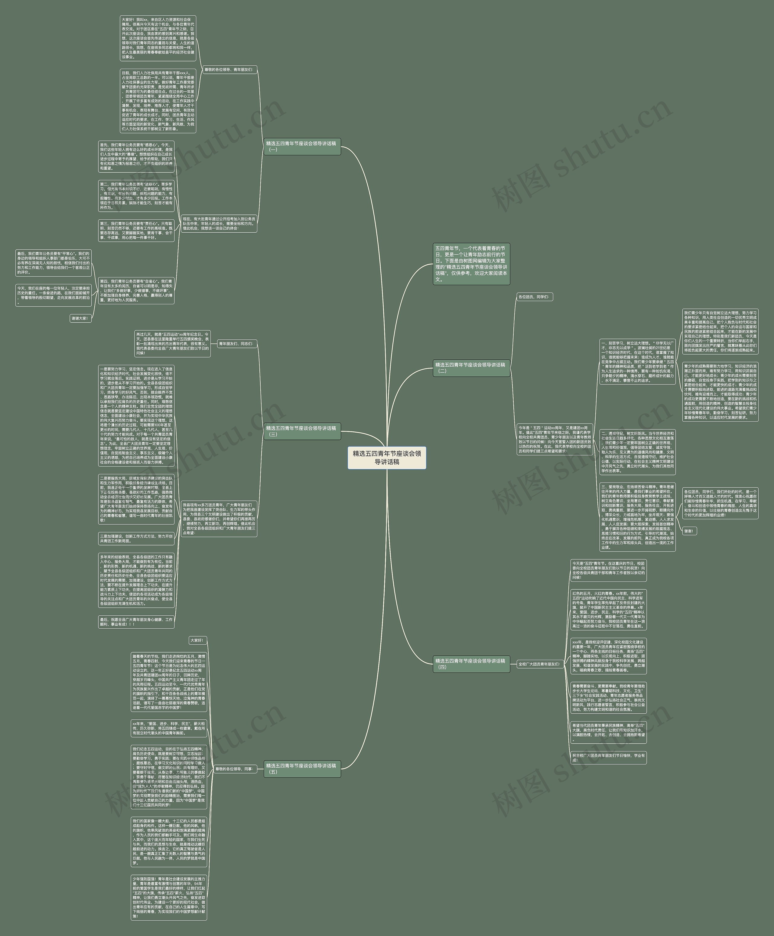 精选五四青年节座谈会领导讲话稿思维导图