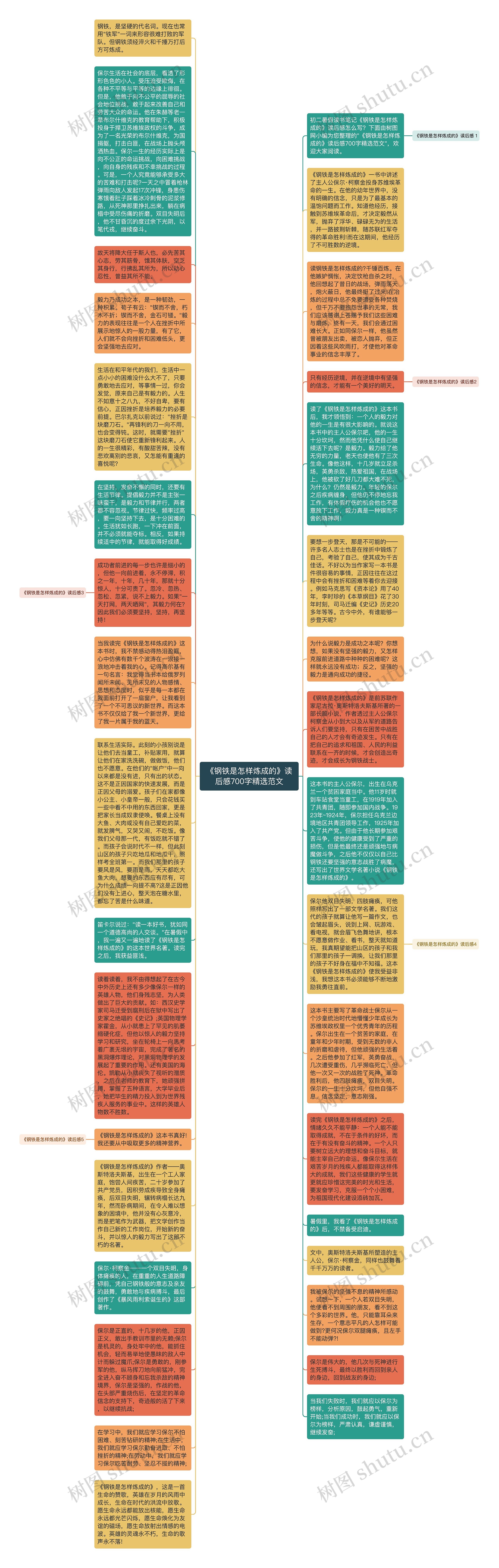 《钢铁是怎样炼成的》读后感700字精选范文思维导图