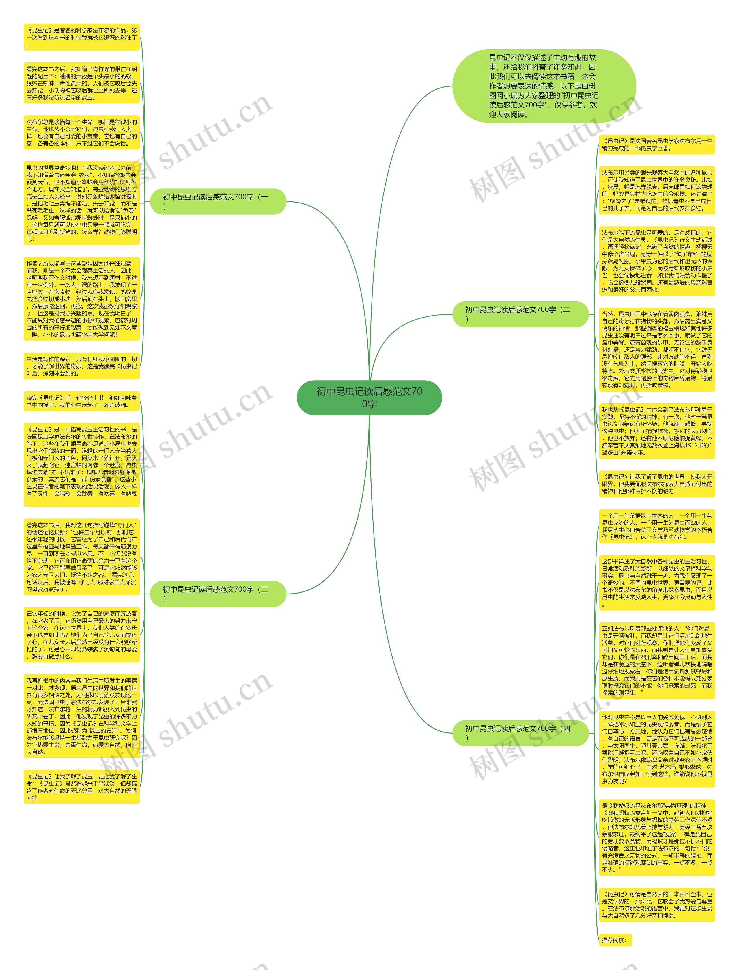 初中昆虫记读后感范文700字思维导图
