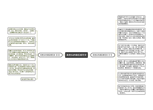 高老头的读后感范文