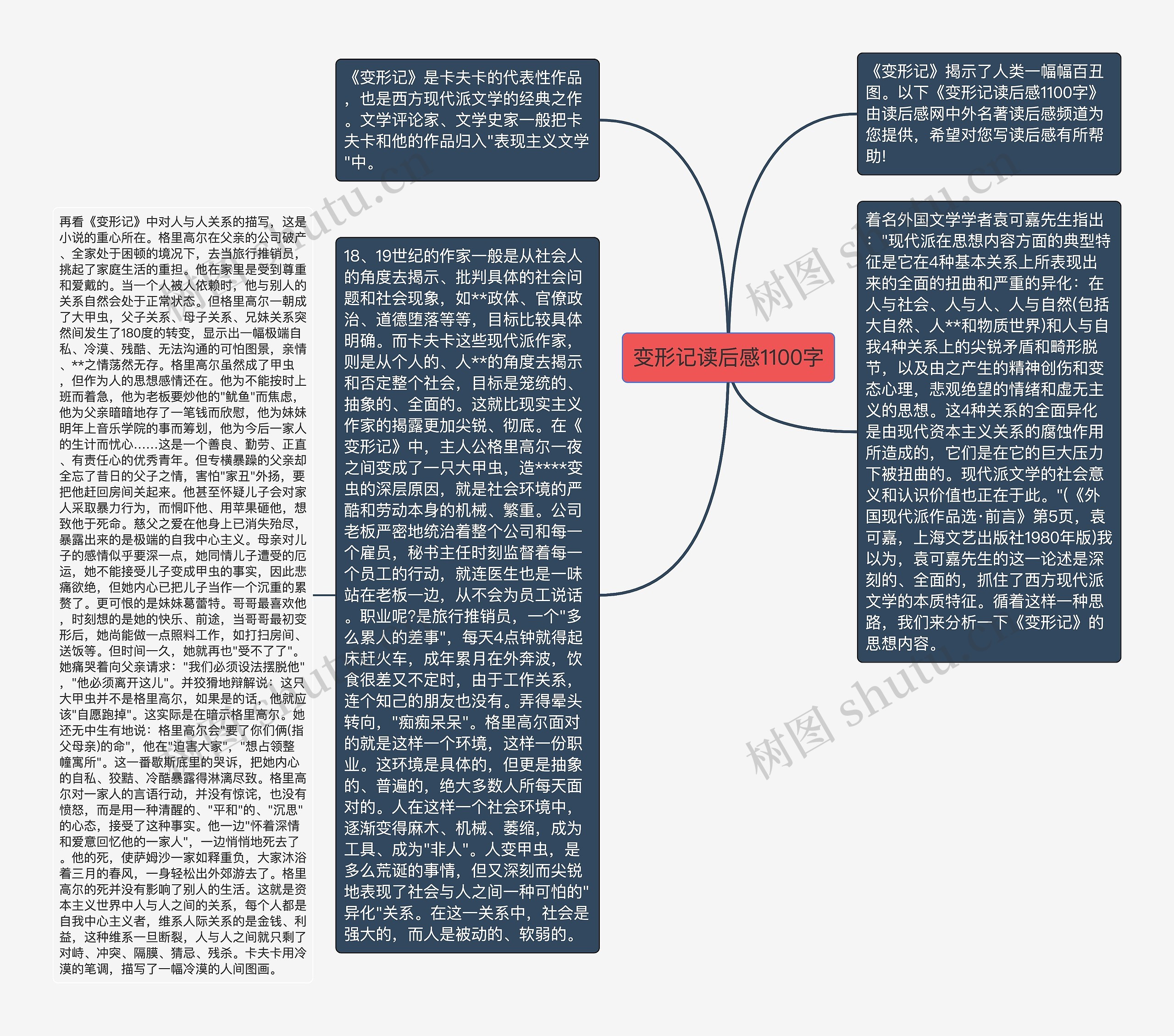 变形记读后感1100字