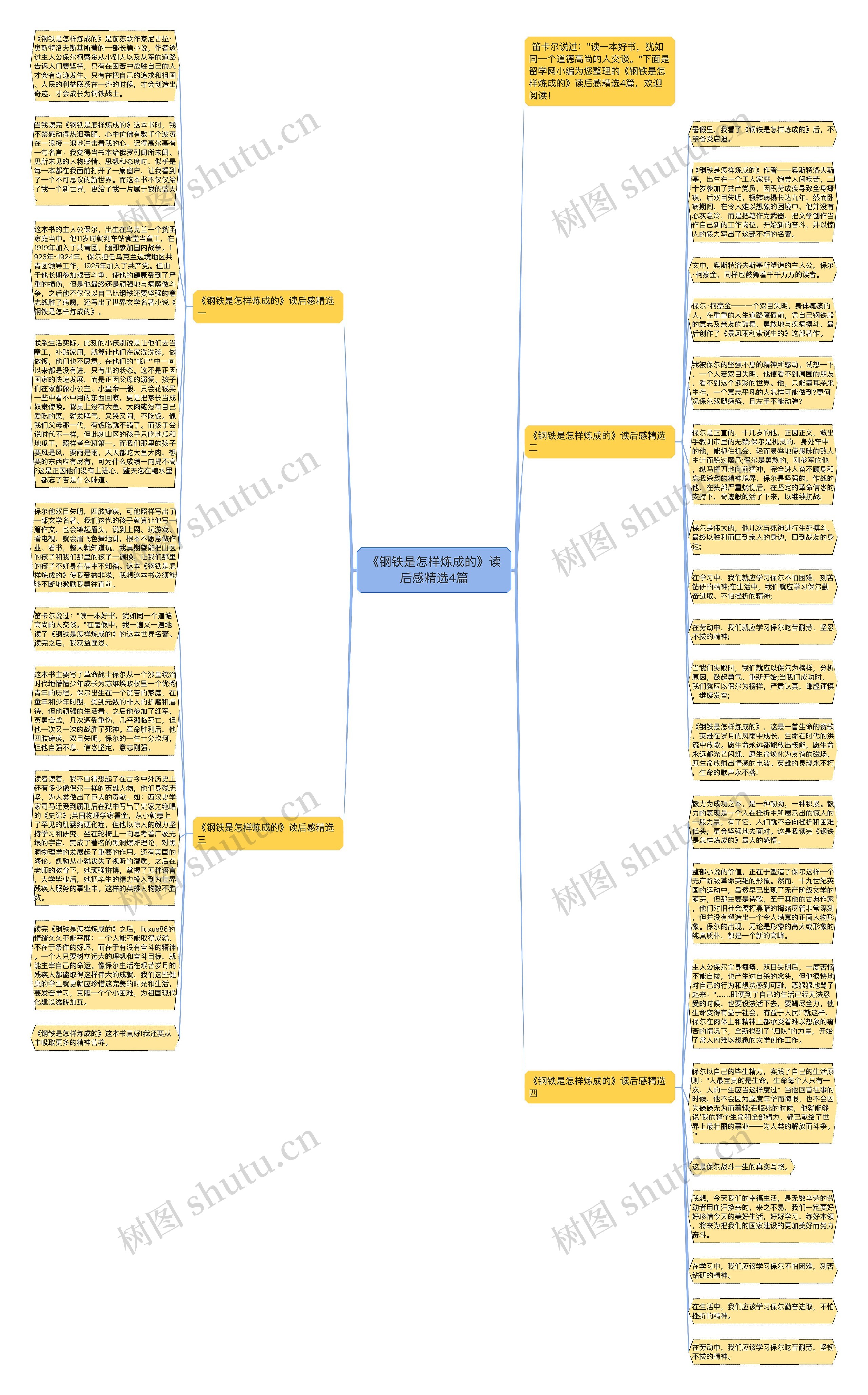 《钢铁是怎样炼成的》读后感精选4篇思维导图