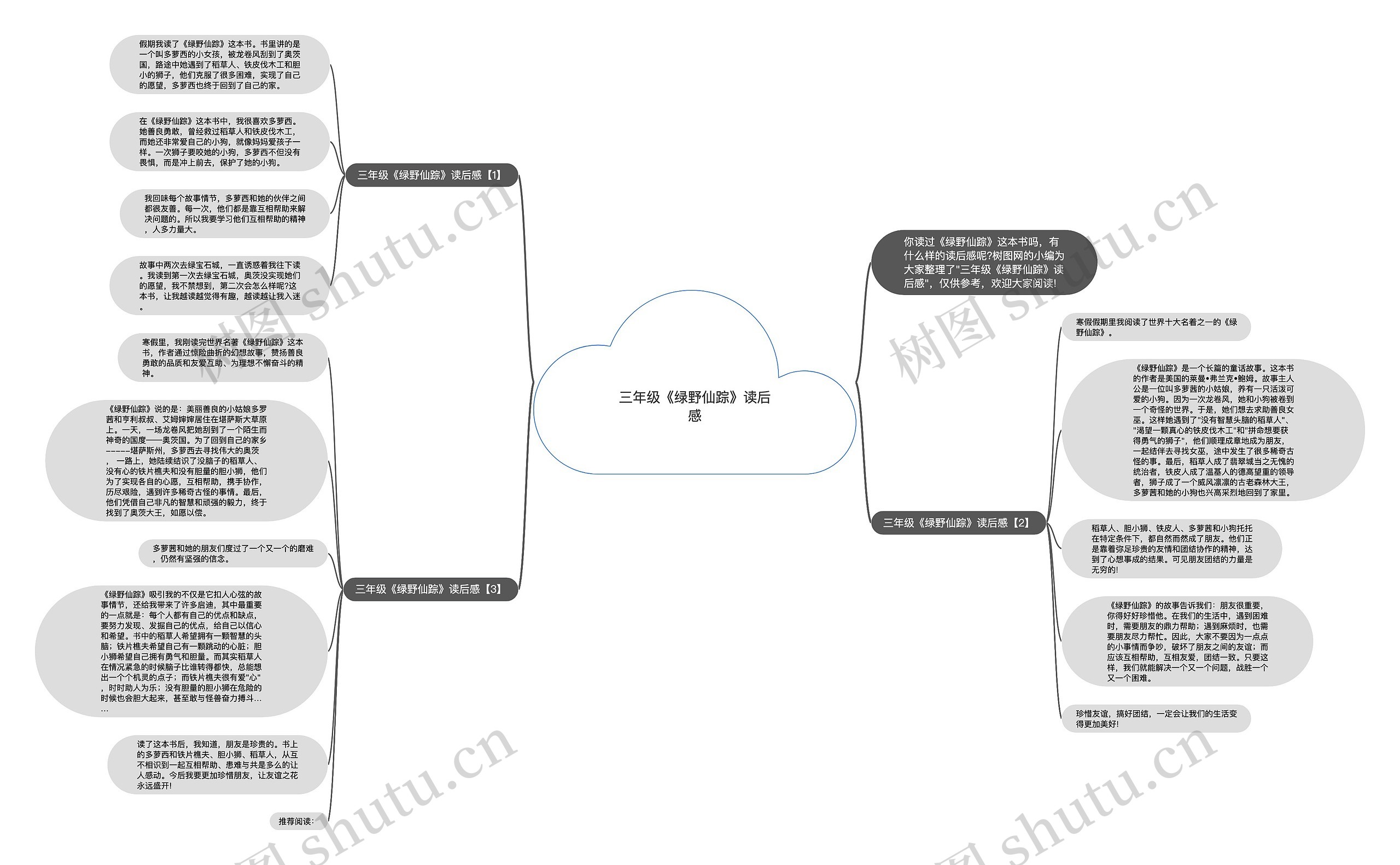 三年级《绿野仙踪》读后感思维导图