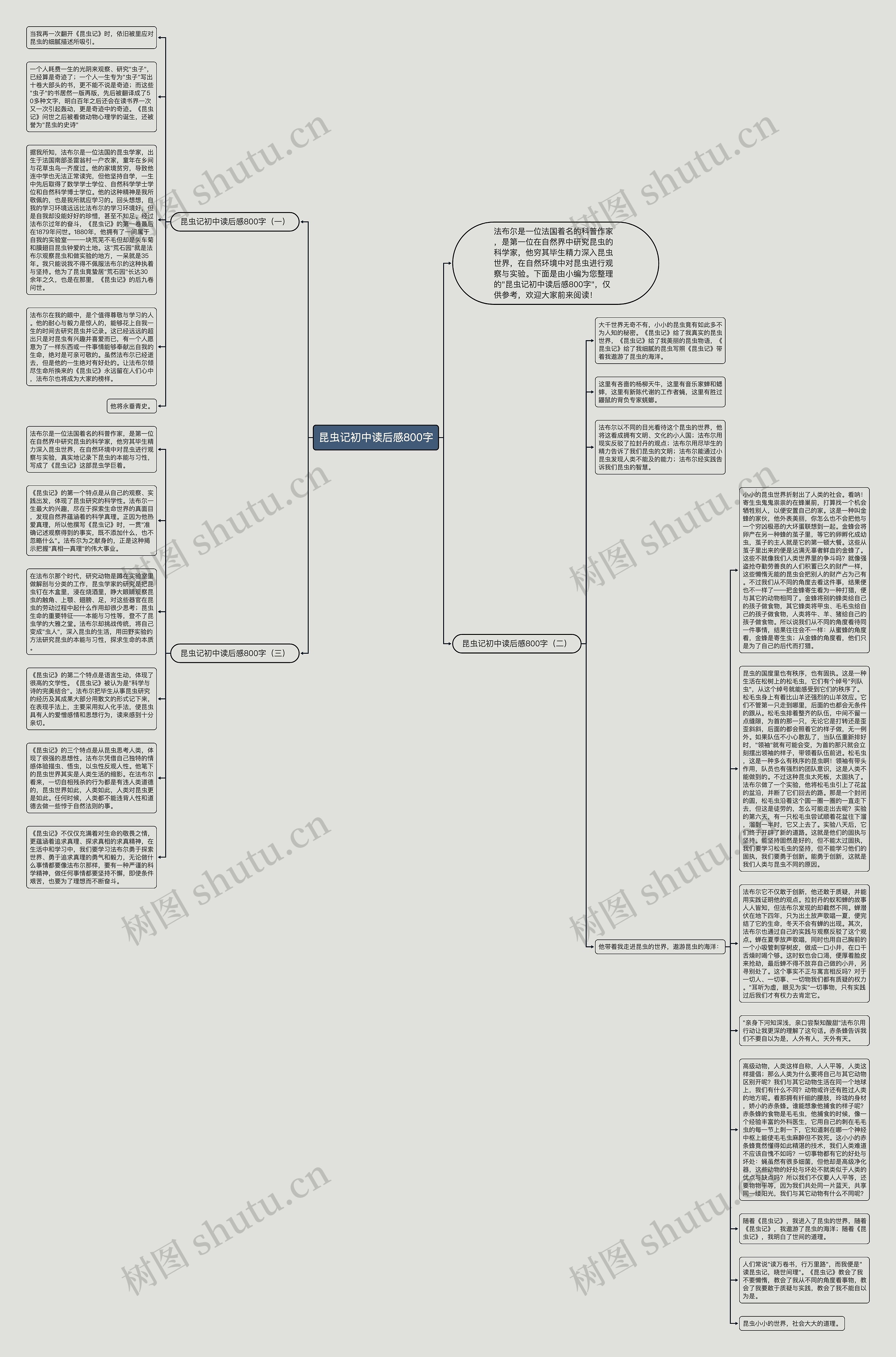 昆虫记初中读后感800字思维导图