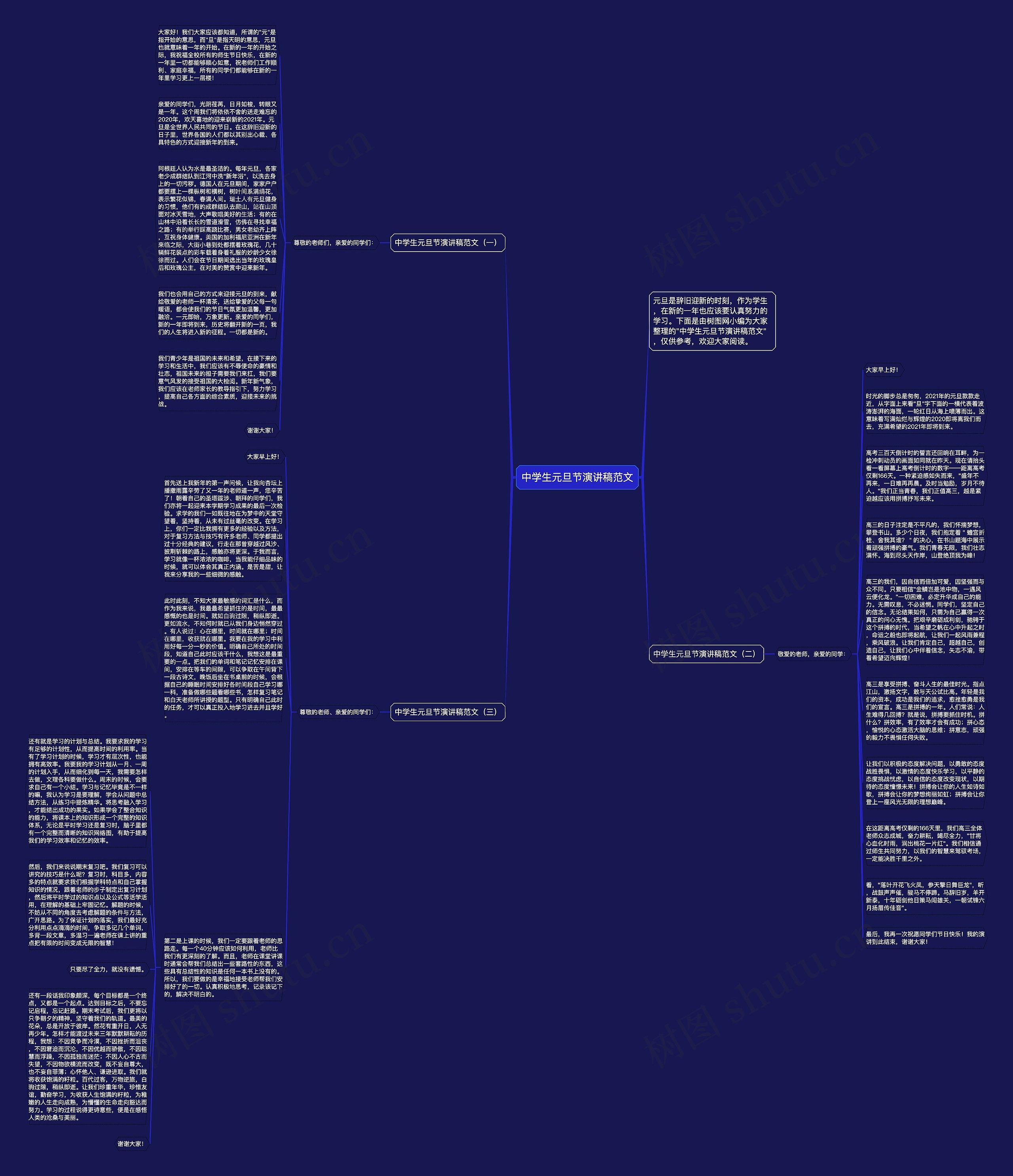 中学生元旦节演讲稿范文思维导图