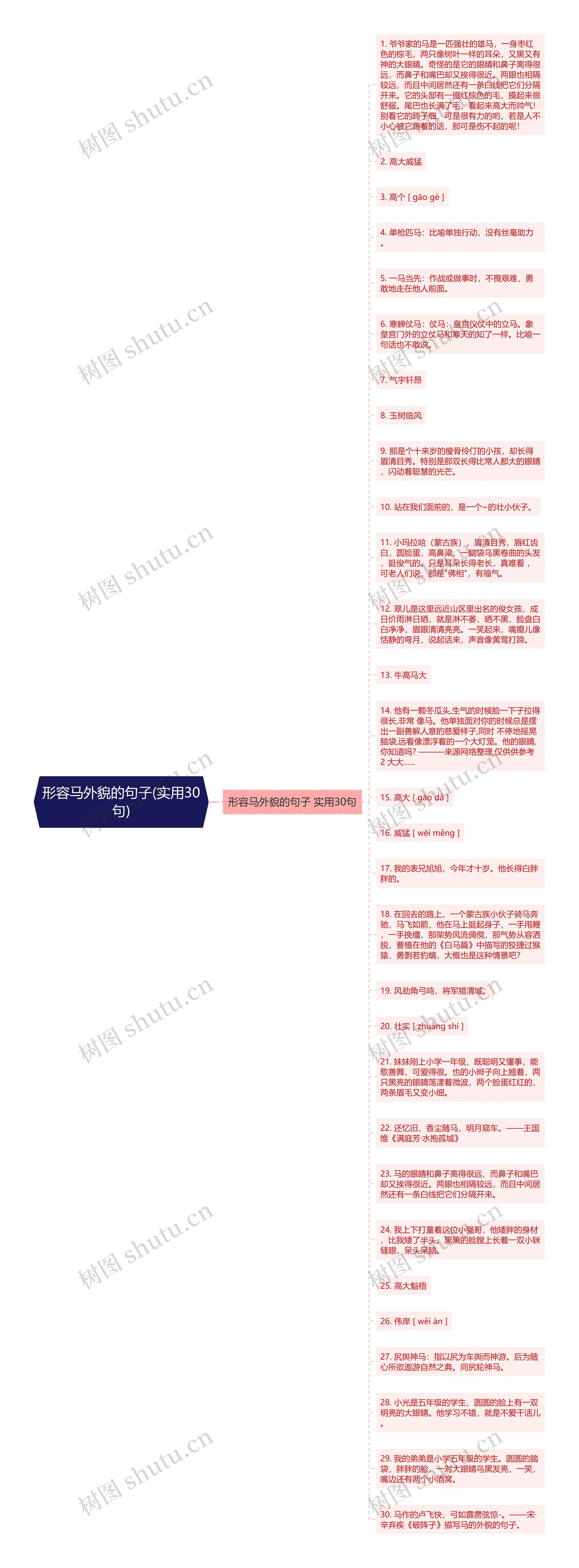 形容马外貌的句子(实用30句)思维导图