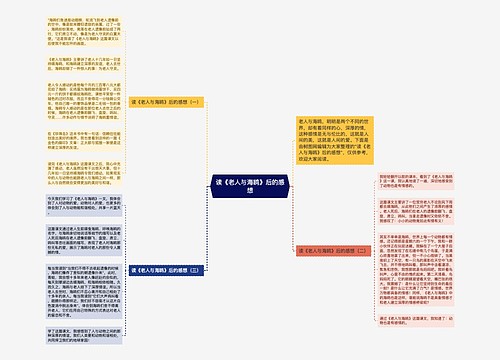 读《老人与海鸥》后的感想