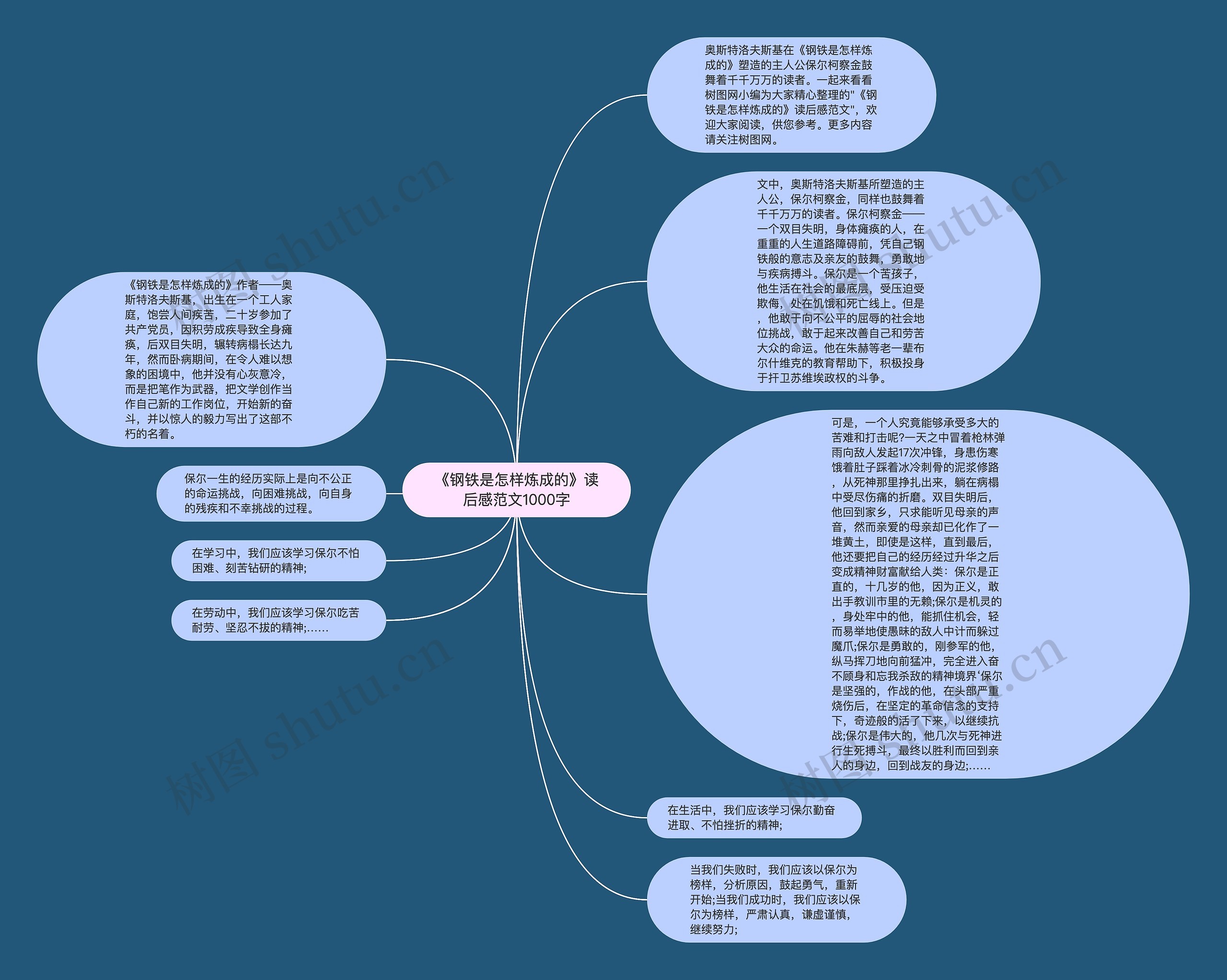 《钢铁是怎样炼成的》读后感范文1000字